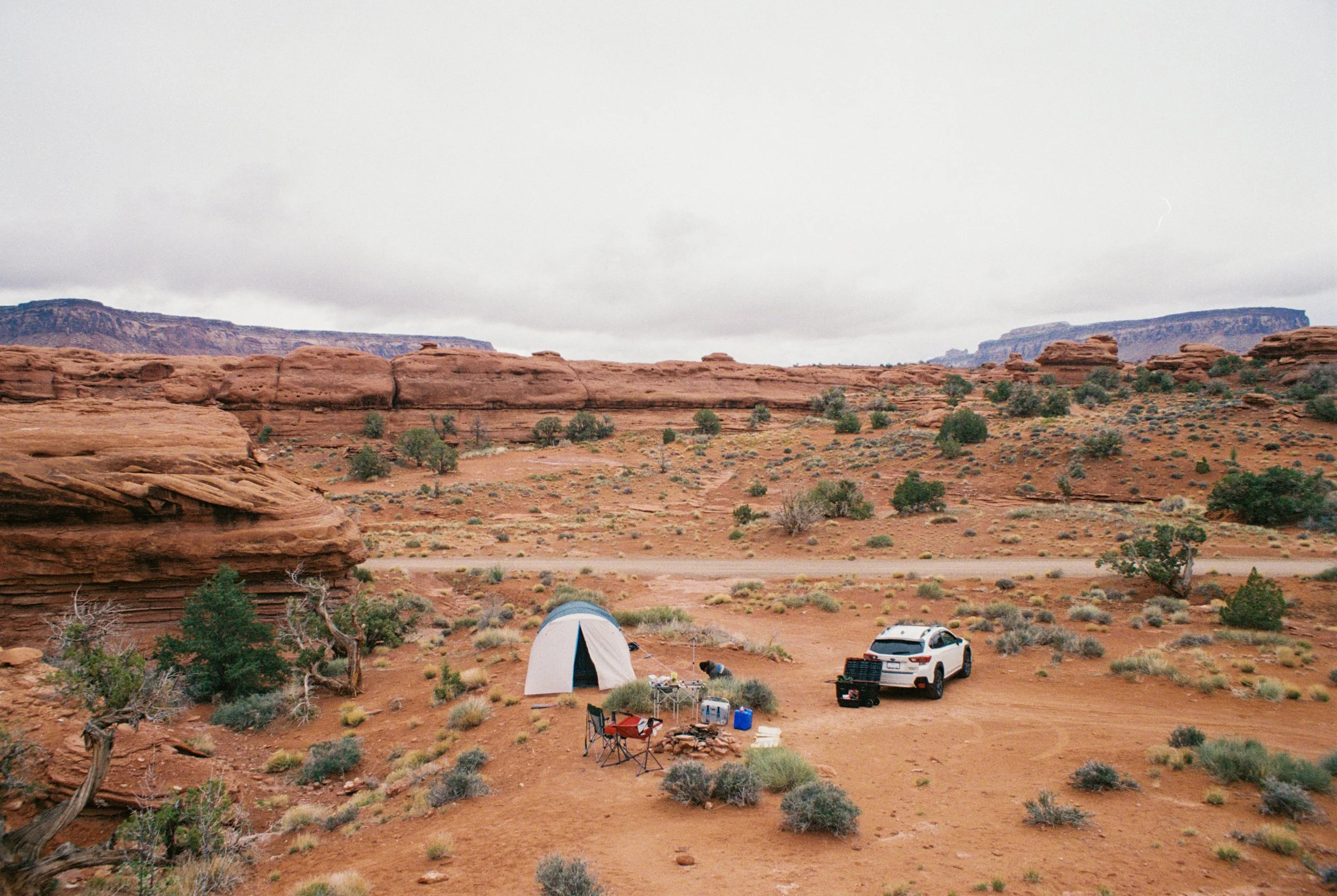 IMG_8895(1).JPG