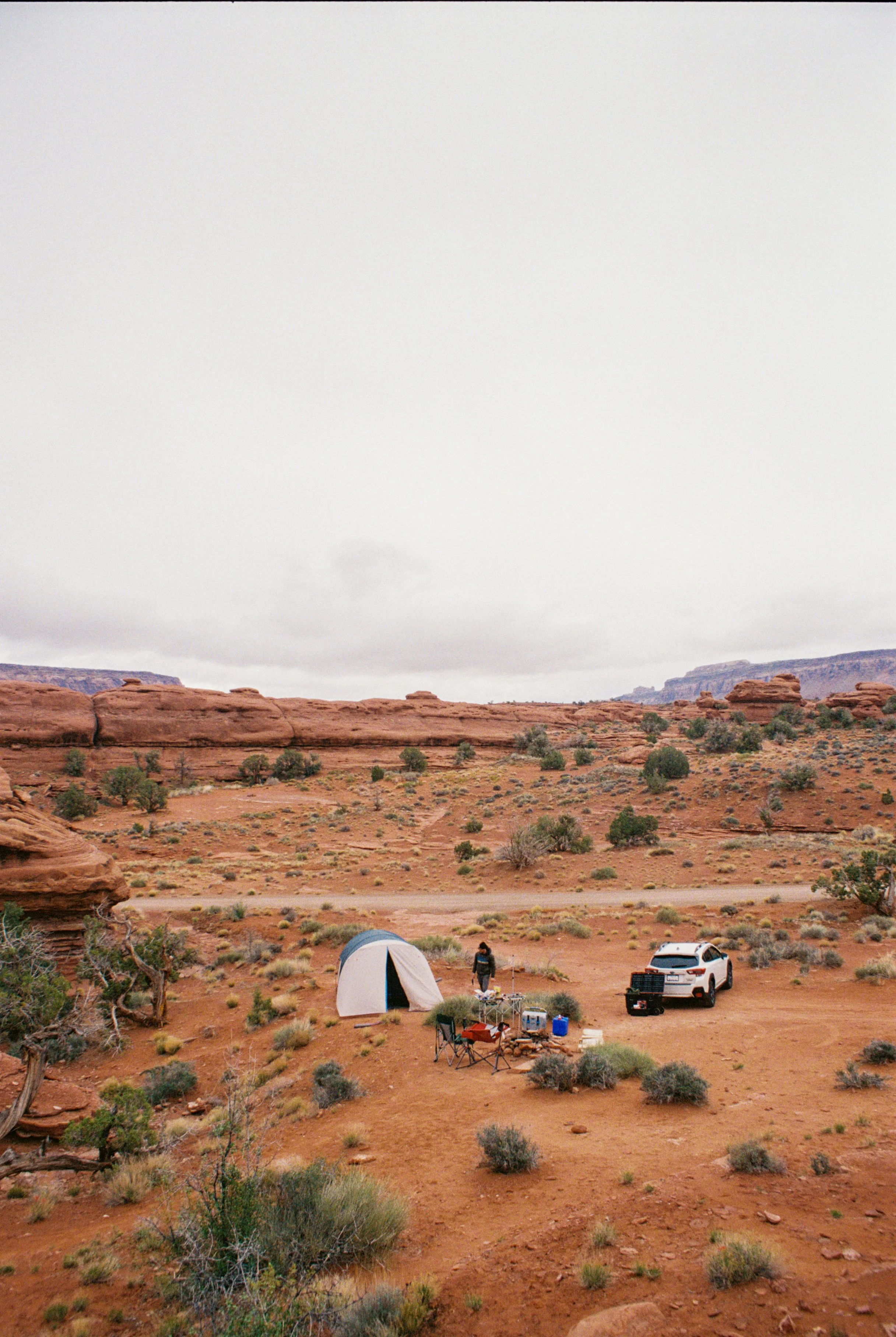 IMG_8908(1).JPG