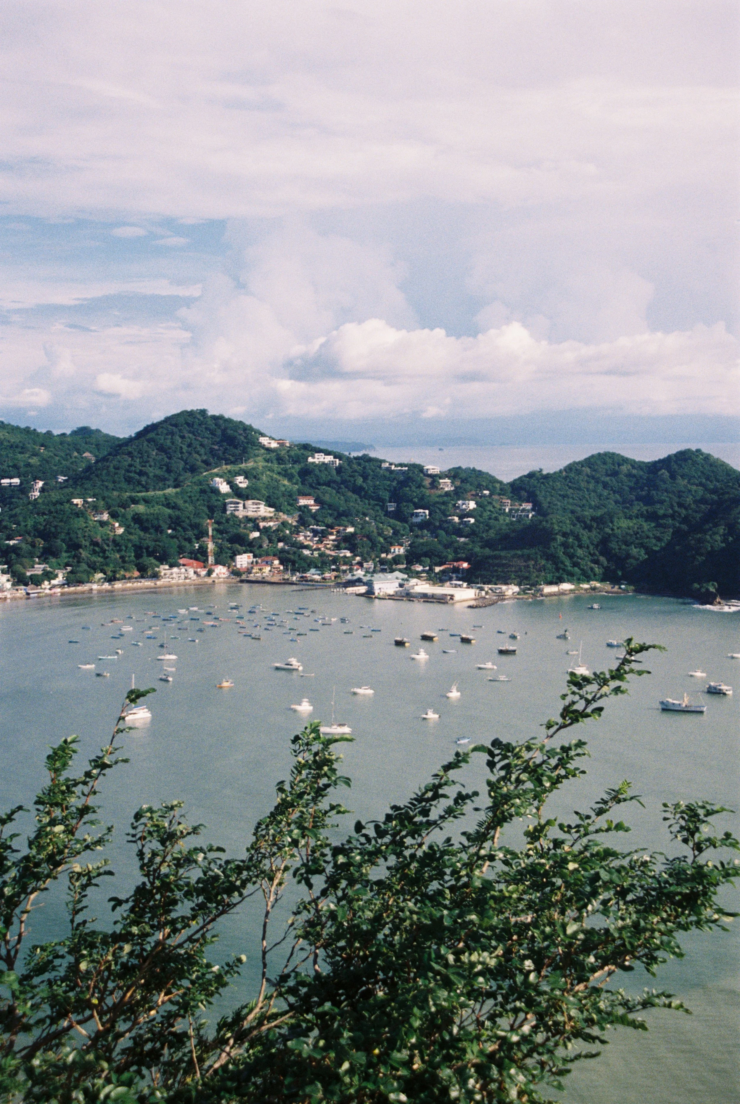 IMG_1474(1).jpeg