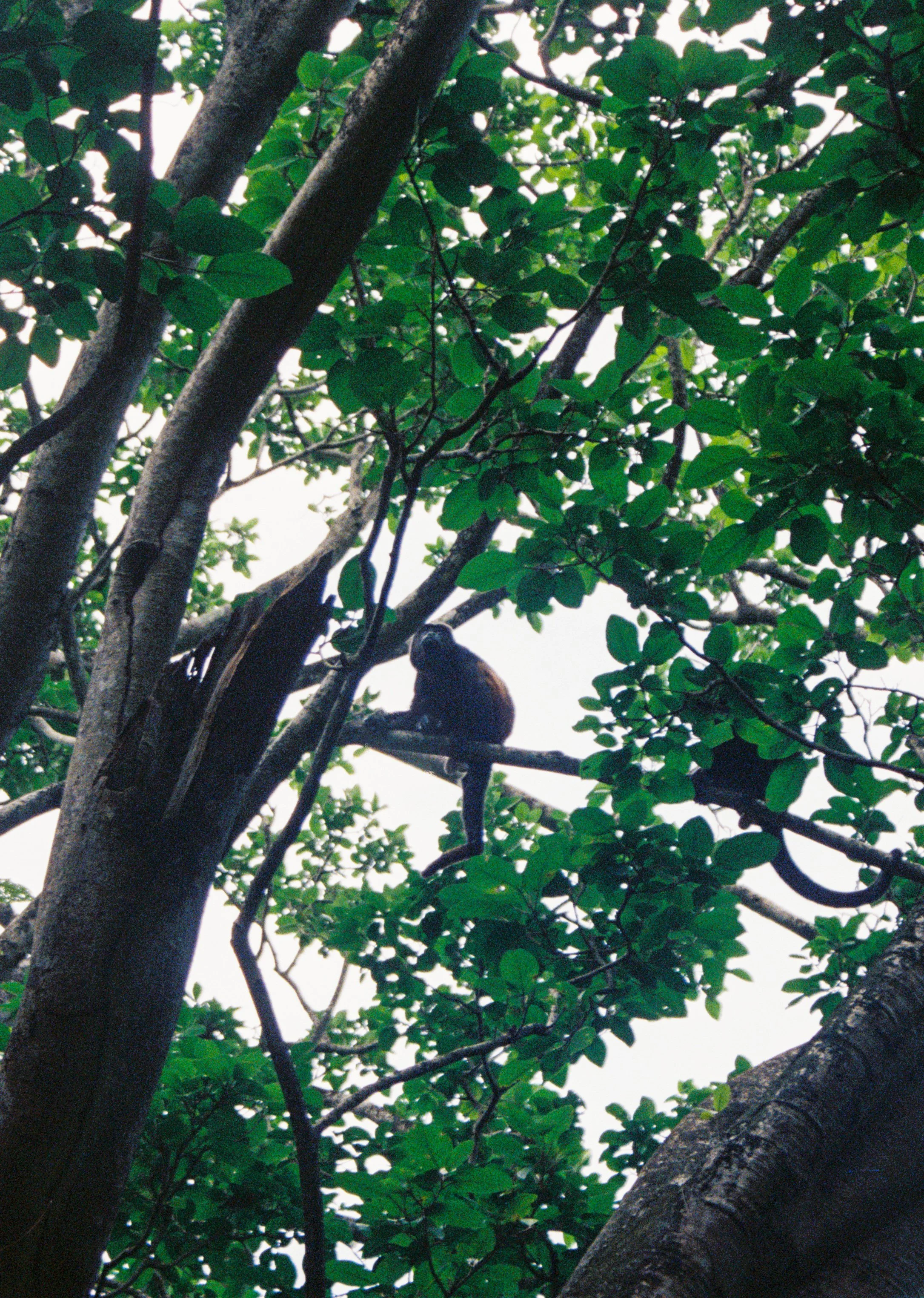 IMG_1342(1).jpeg
