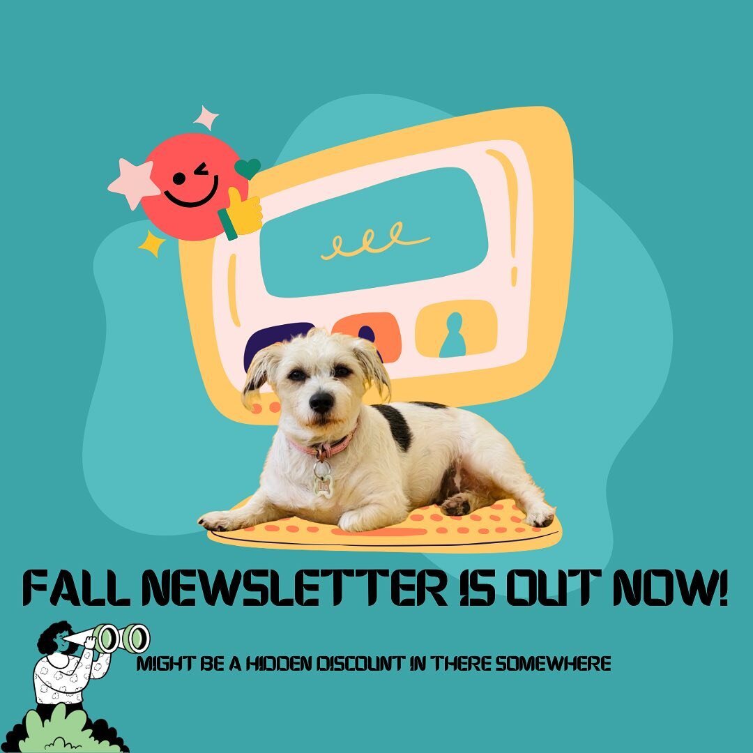 Fall 2023 Newsletter Out now! 
&bull;
Check here for the latest Art shows/Galleries/Events 
&bull;
You can also subscribe here⬇️

https://www.art-printer.com/news/fall2023

&bull;
#artprinterla #supportsmallbusiness