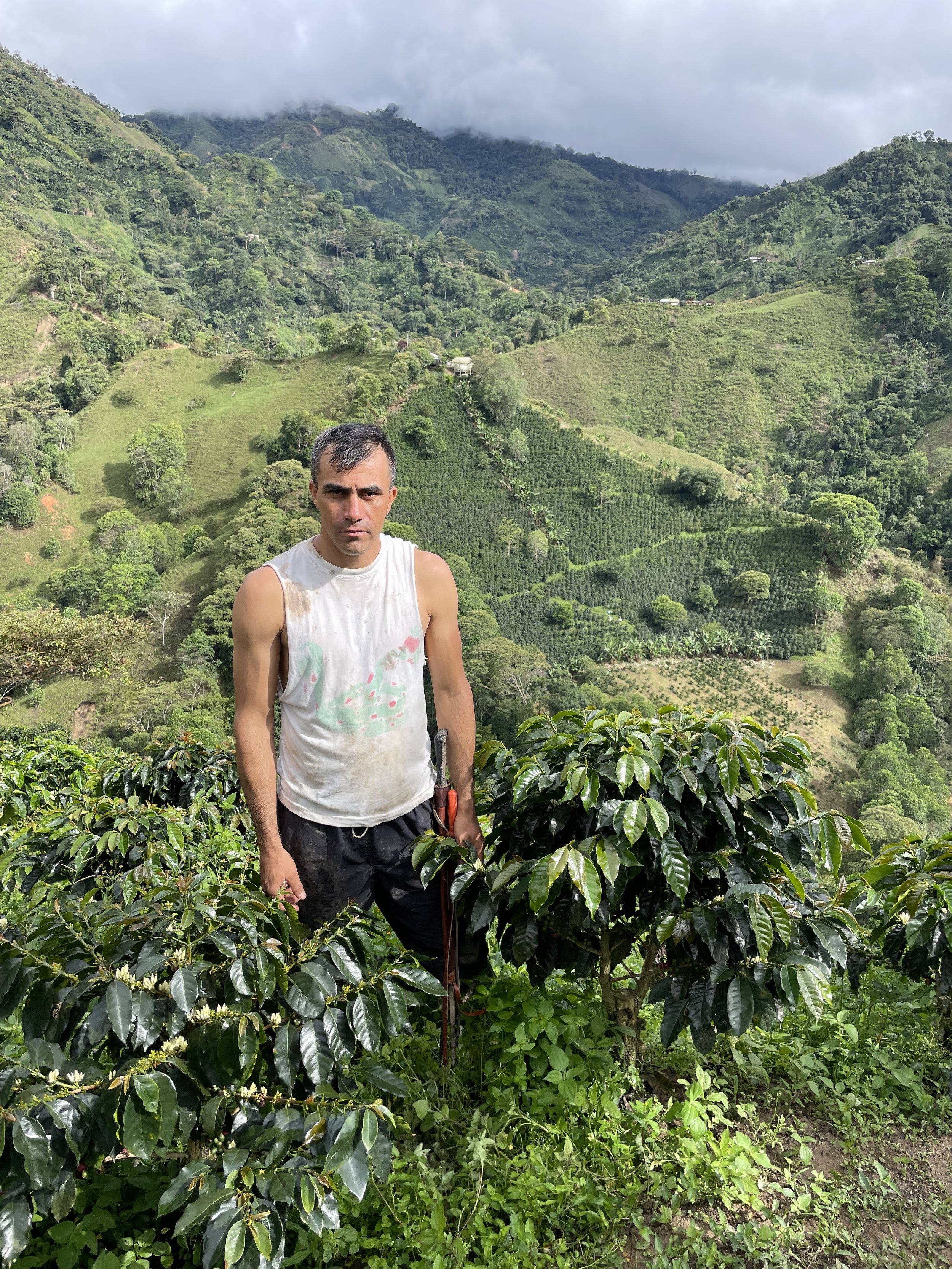 Yinyini Avilez Tabera 6.jpg