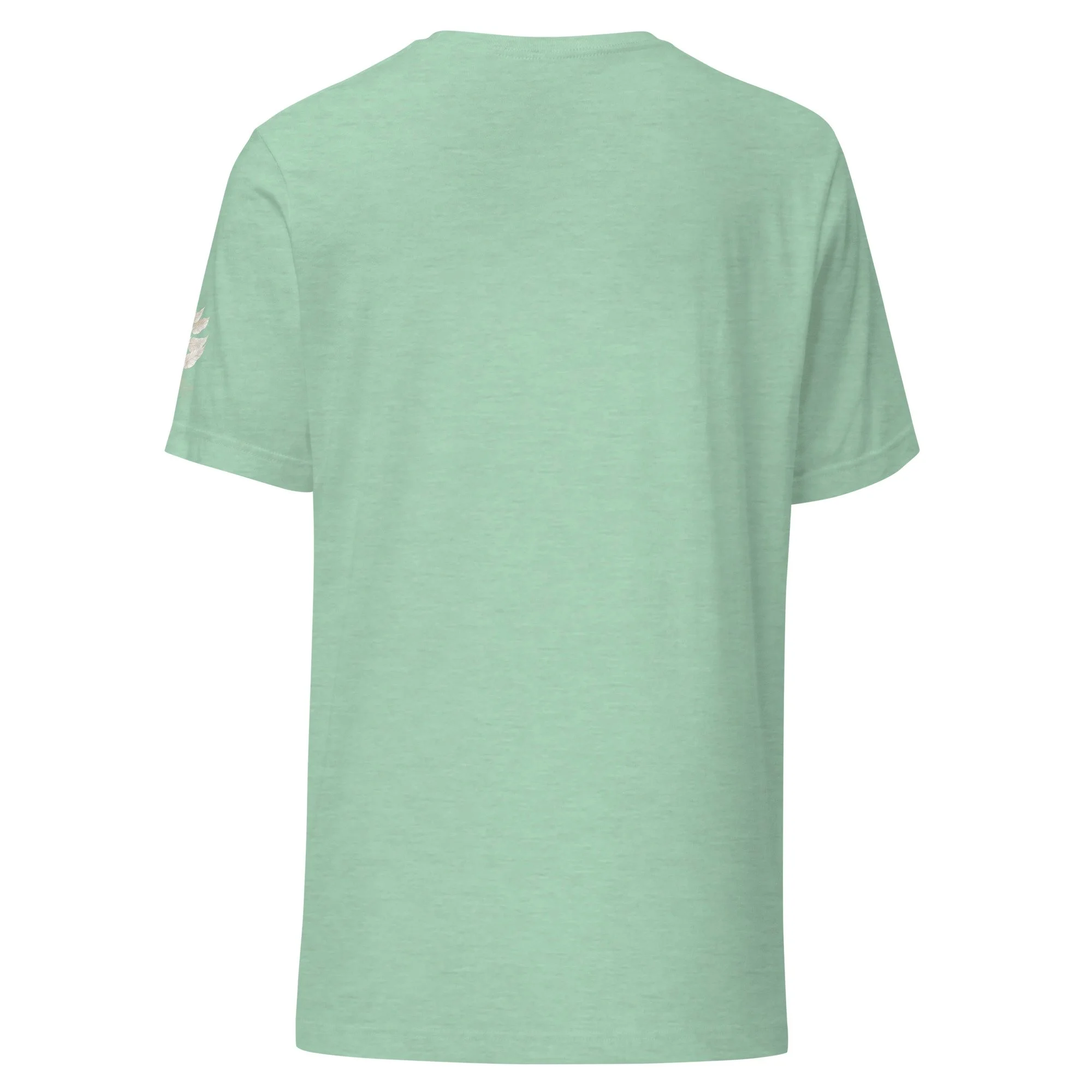 unisex-staple-t-shirt-heather-prism-mint-back-69e94af141ced.jpg