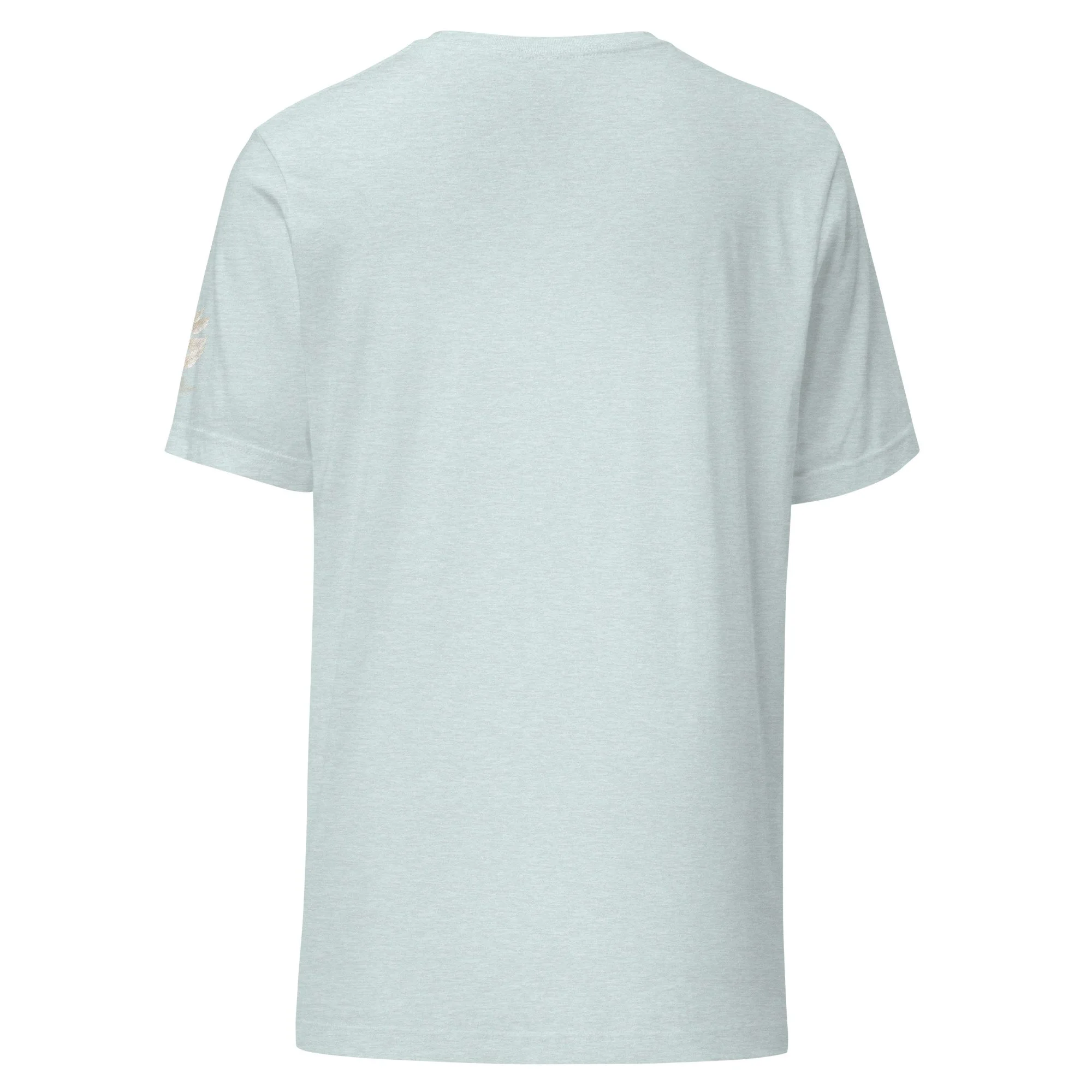unisex-staple-t-shirt-heather-prism-ice-blue-back-69e94af141c47.jpg