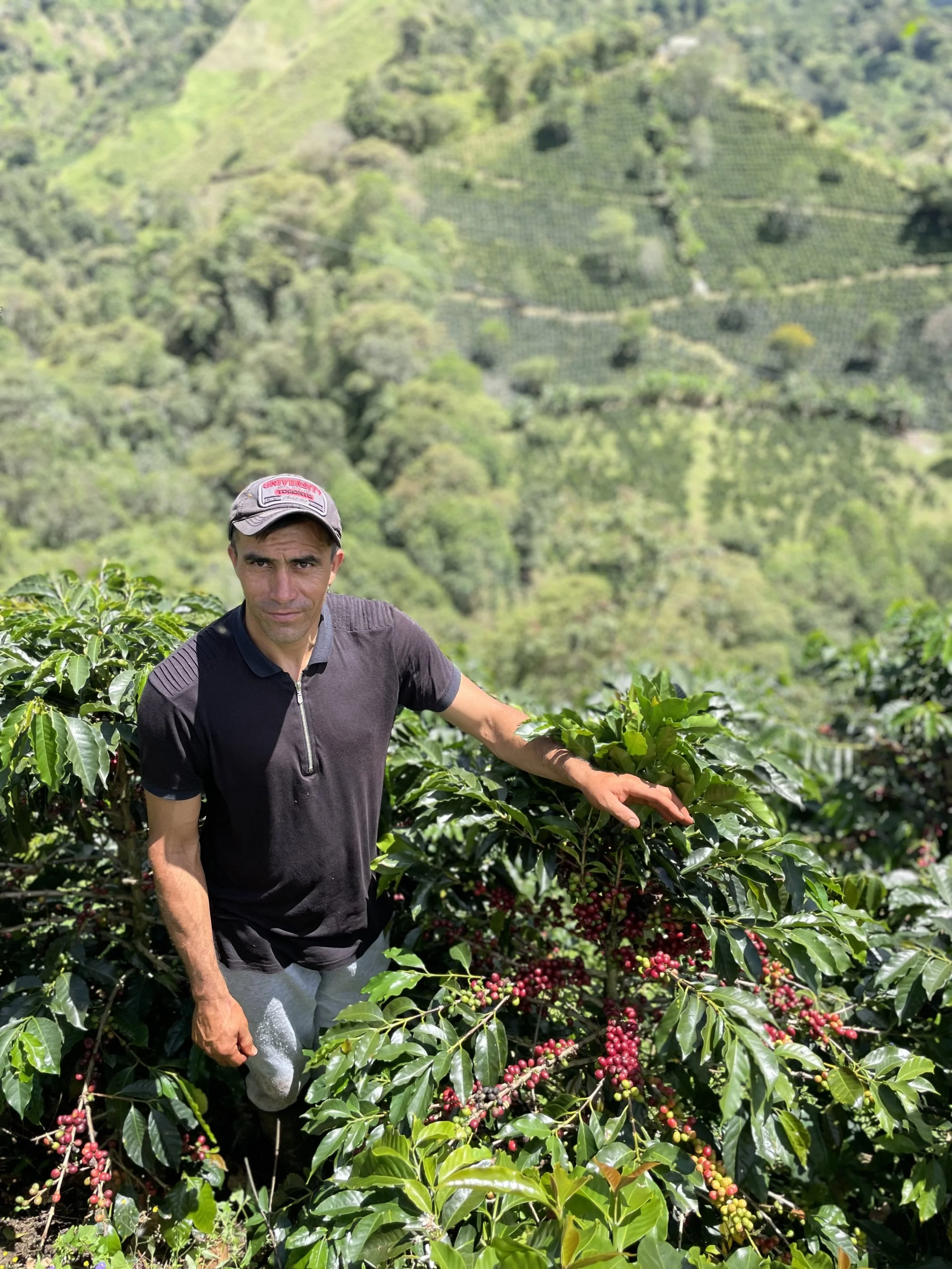 Yinyini Avilez Tabera 2.jpeg