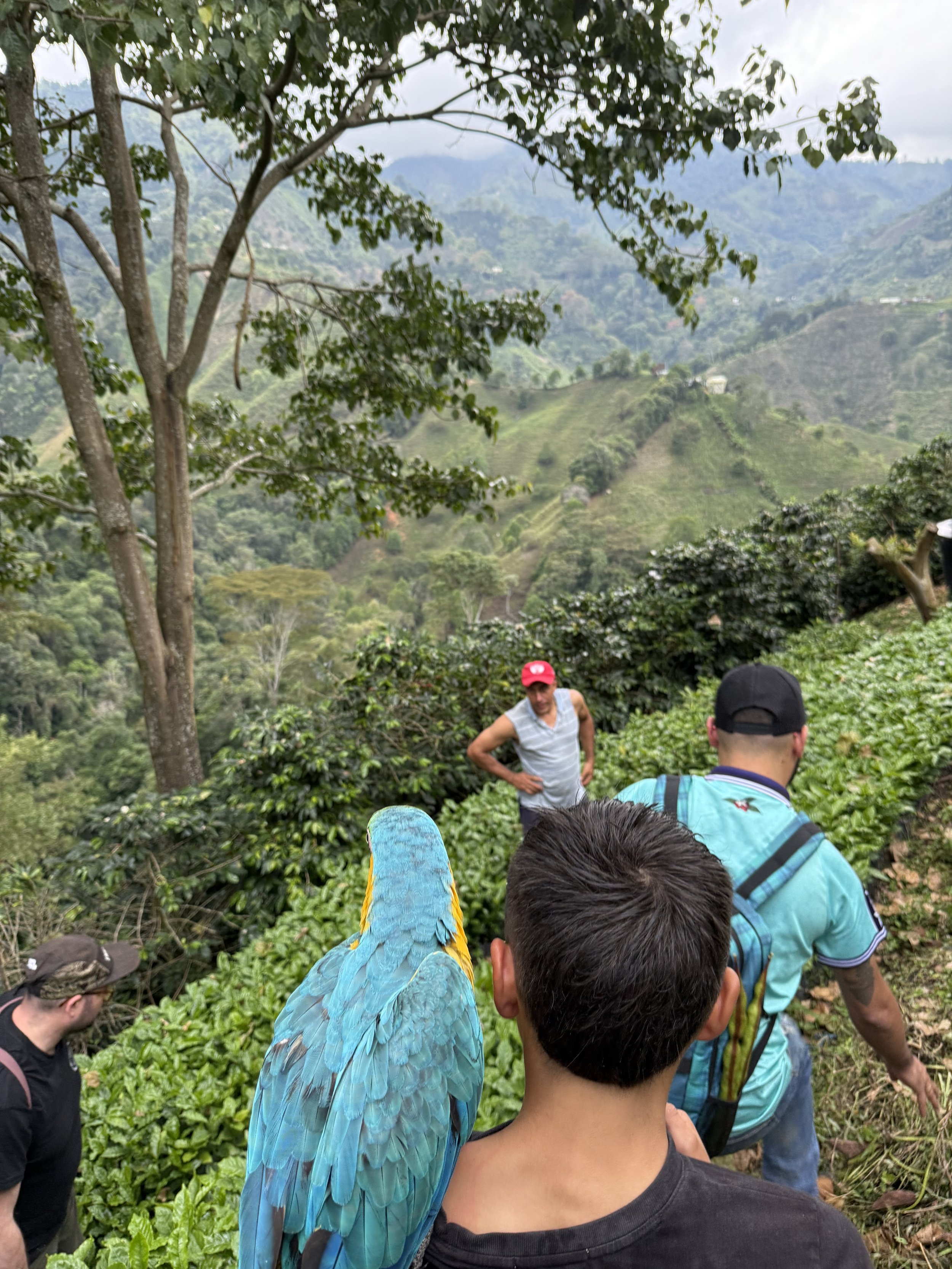 Yinyini Avilez Tabera 9.jpg