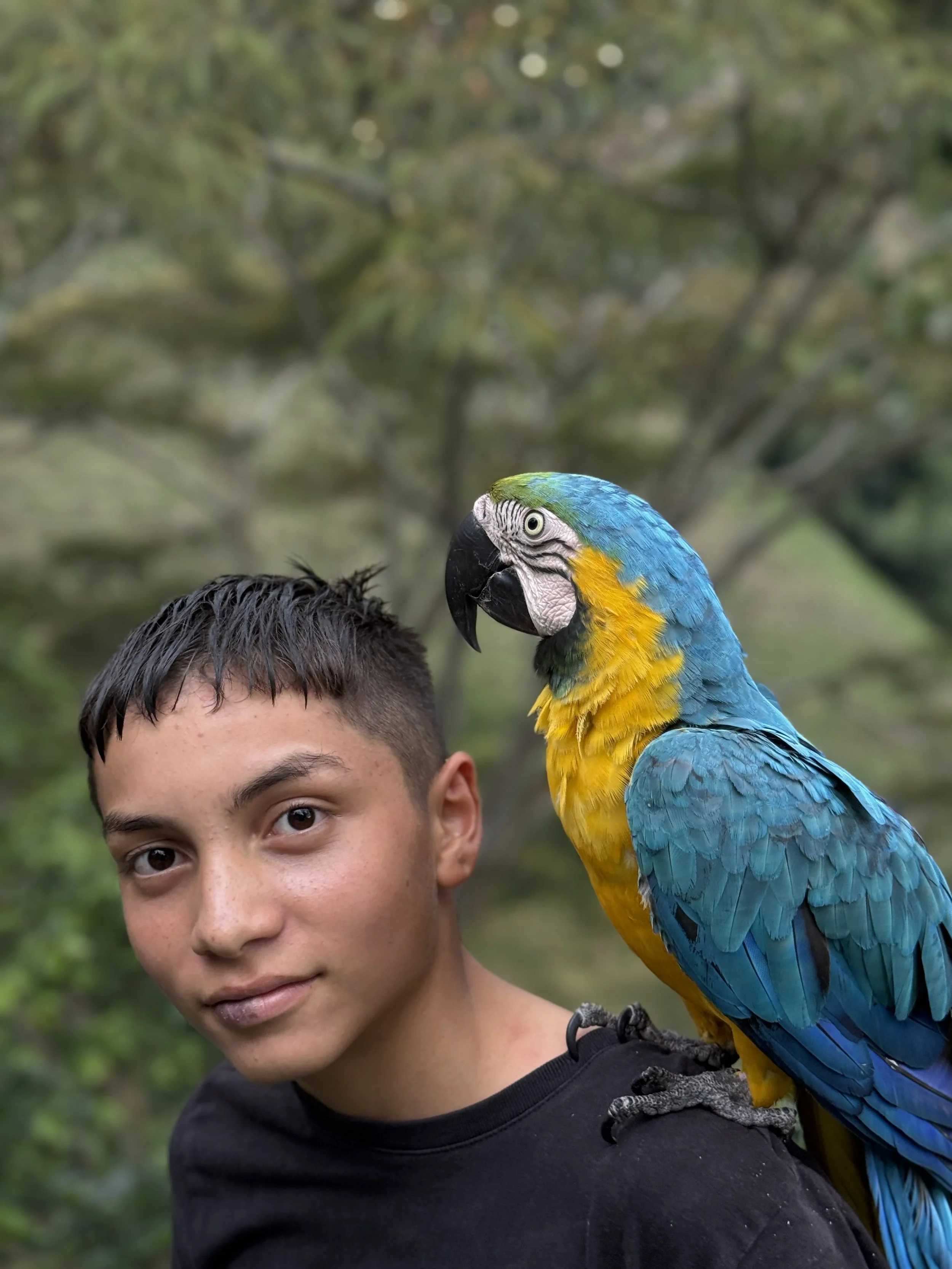 Yinyini Avilez Tabera 10.jpg