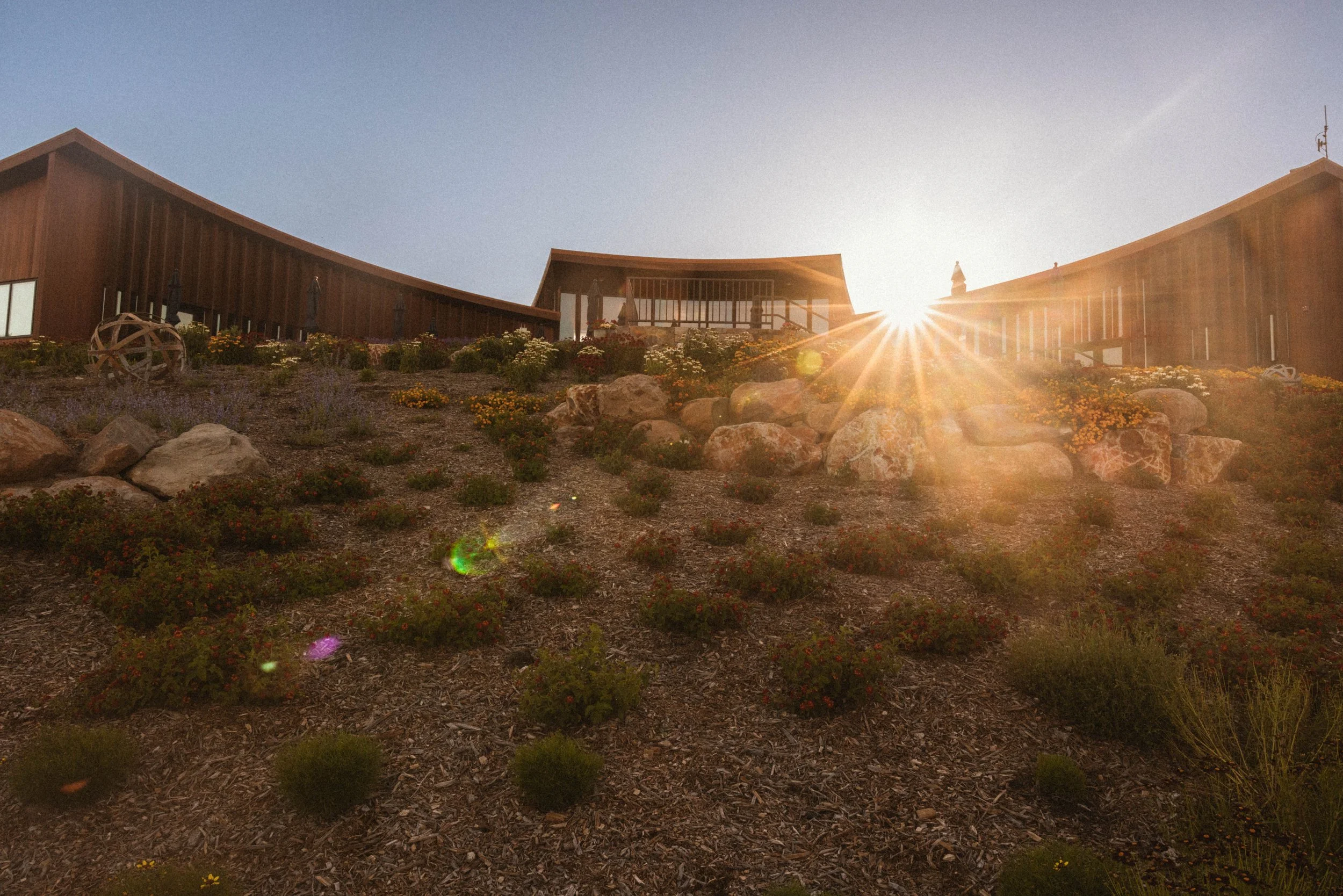 A low-angle photo of a modern building with a curved roof, illuminated by the setting sun, with a garden of rocks and colorful flowers in the foreground.