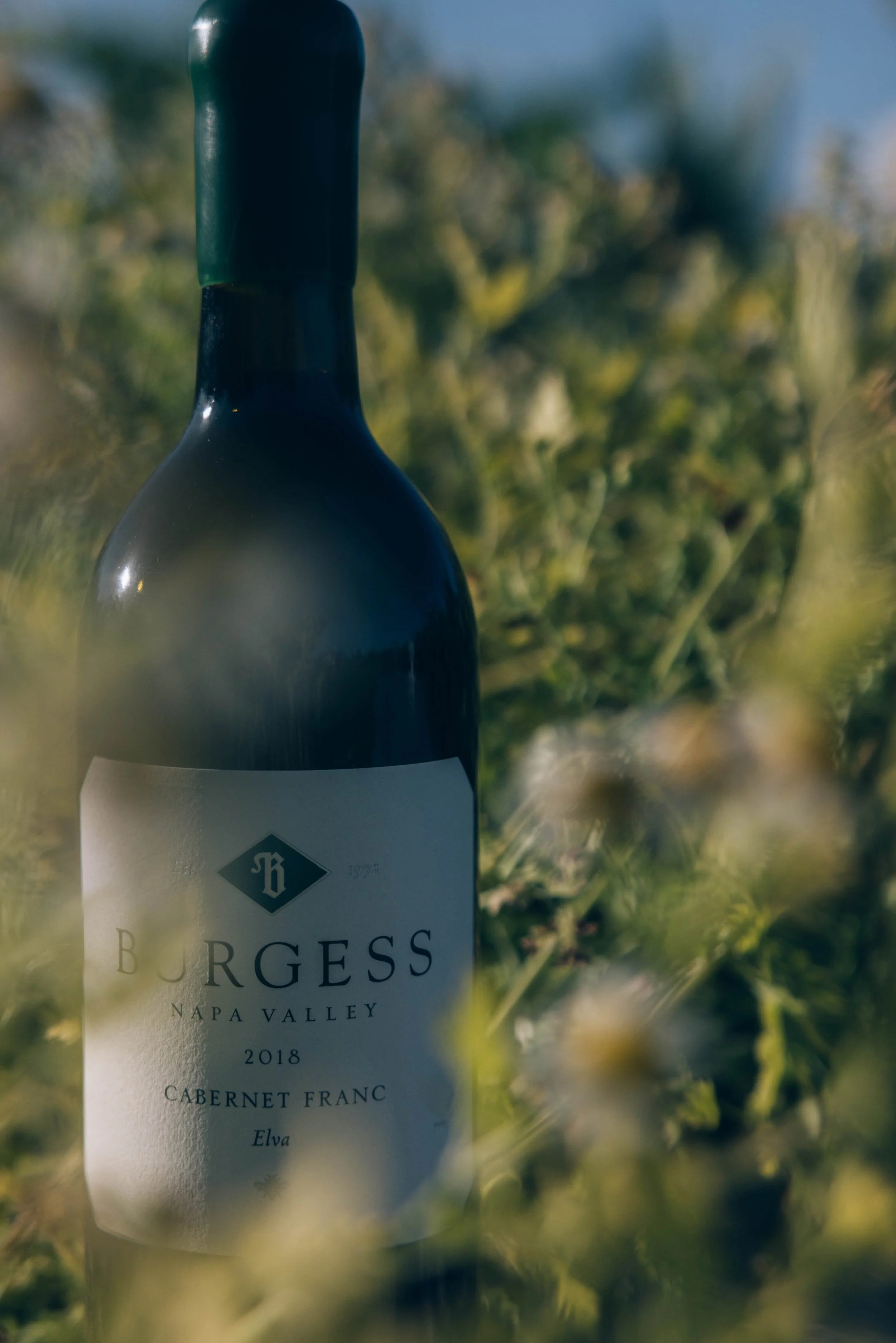 Close-up of a wine bottle among grapevine leaves with the label reading 'Burgess Napa Valley 2018 Cabernet Franc'.