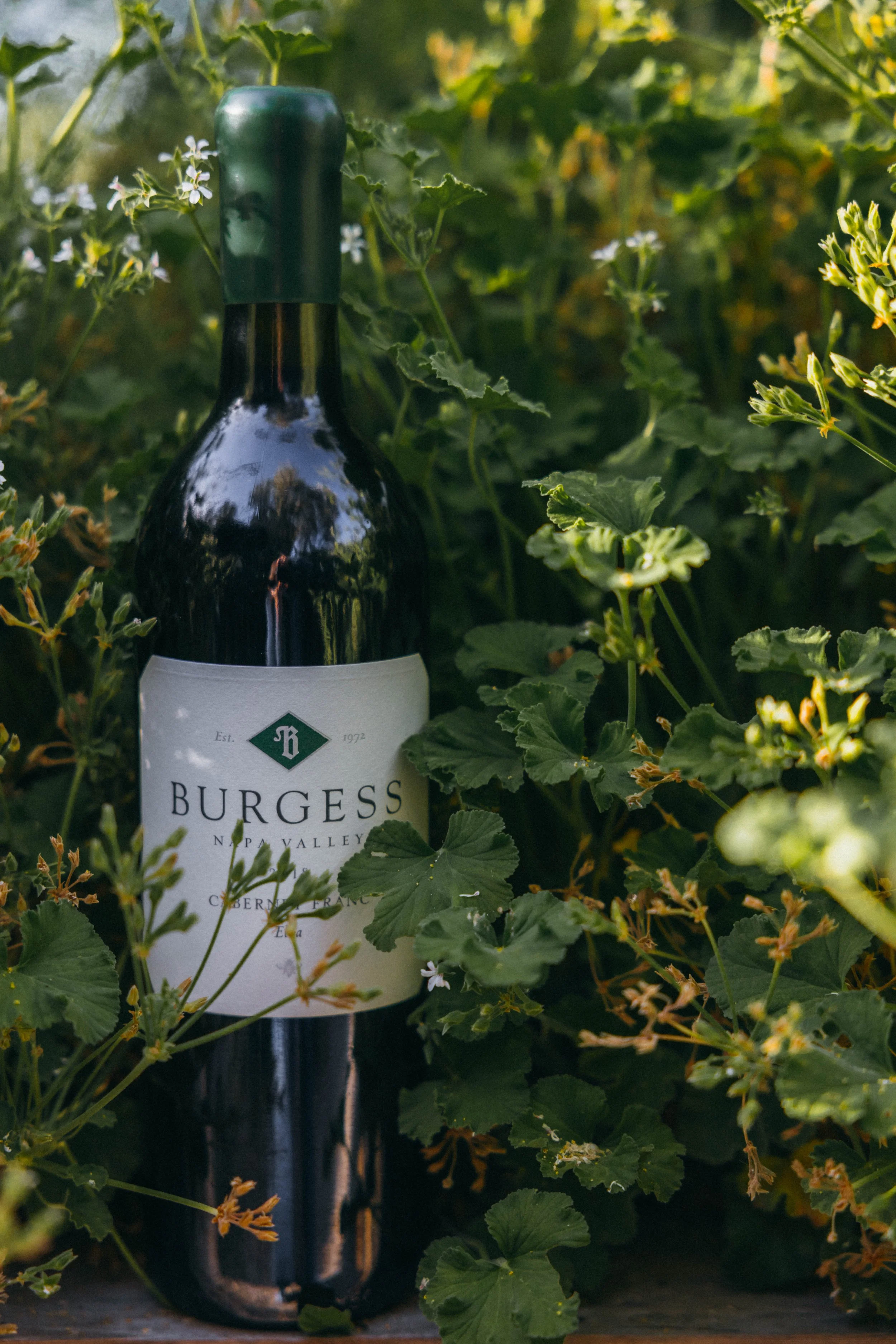 A bottle of Burgess wine is surrounded by green plants with small white flowers.