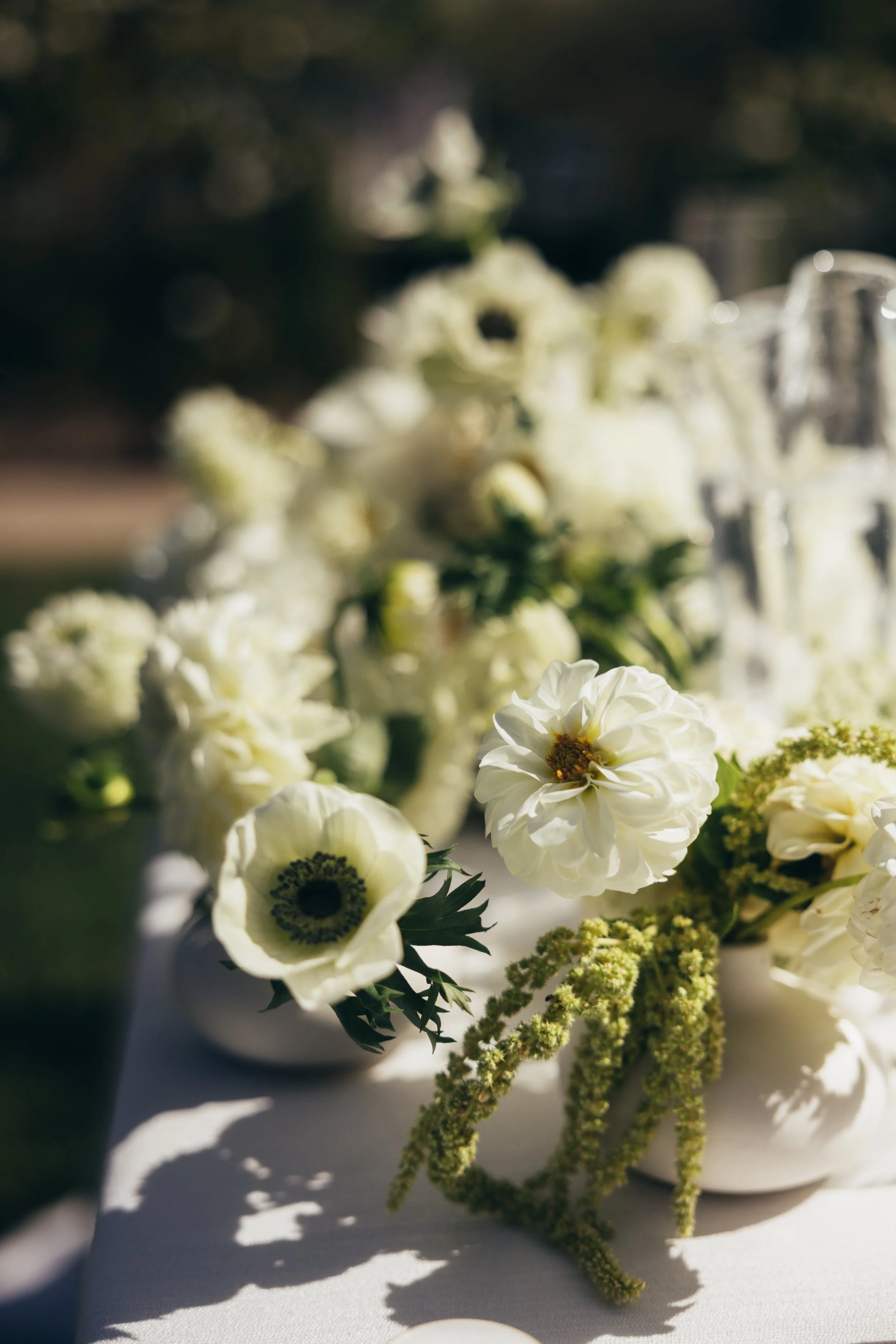 White flowers with yellow centers and green stems arranged in a bouquet, with some flowers in focus and others blurred, placed on a white surface with soft lighting.