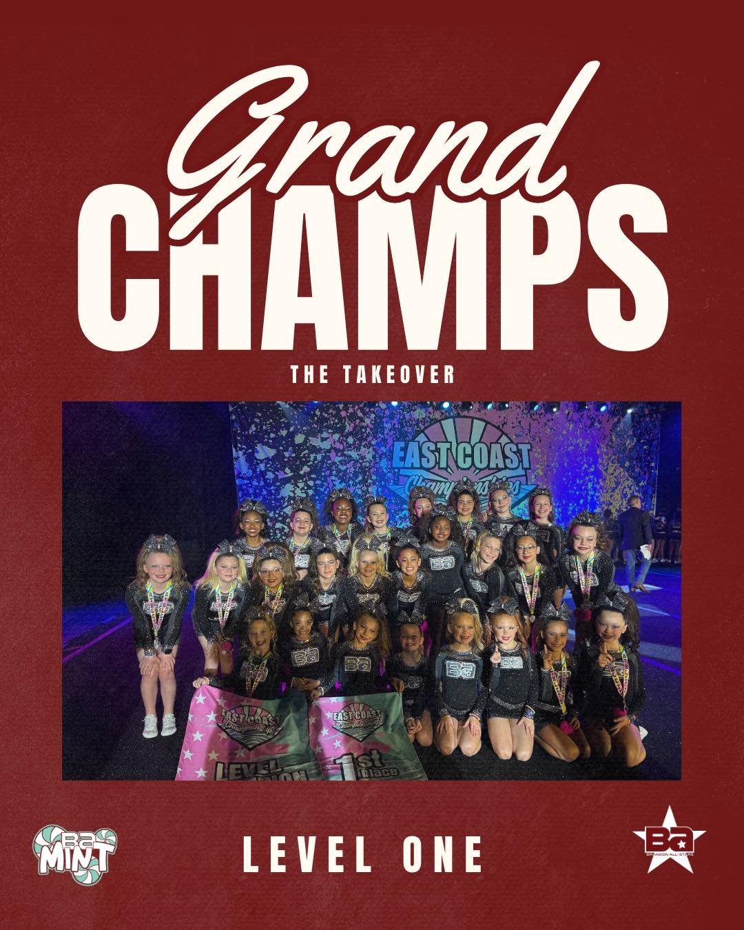 Congratulations to Mint on being Co-Level 1 Grand Champions!

🤩🅱️🅰️💪

#BrandonAllstars #GrowingUpBA