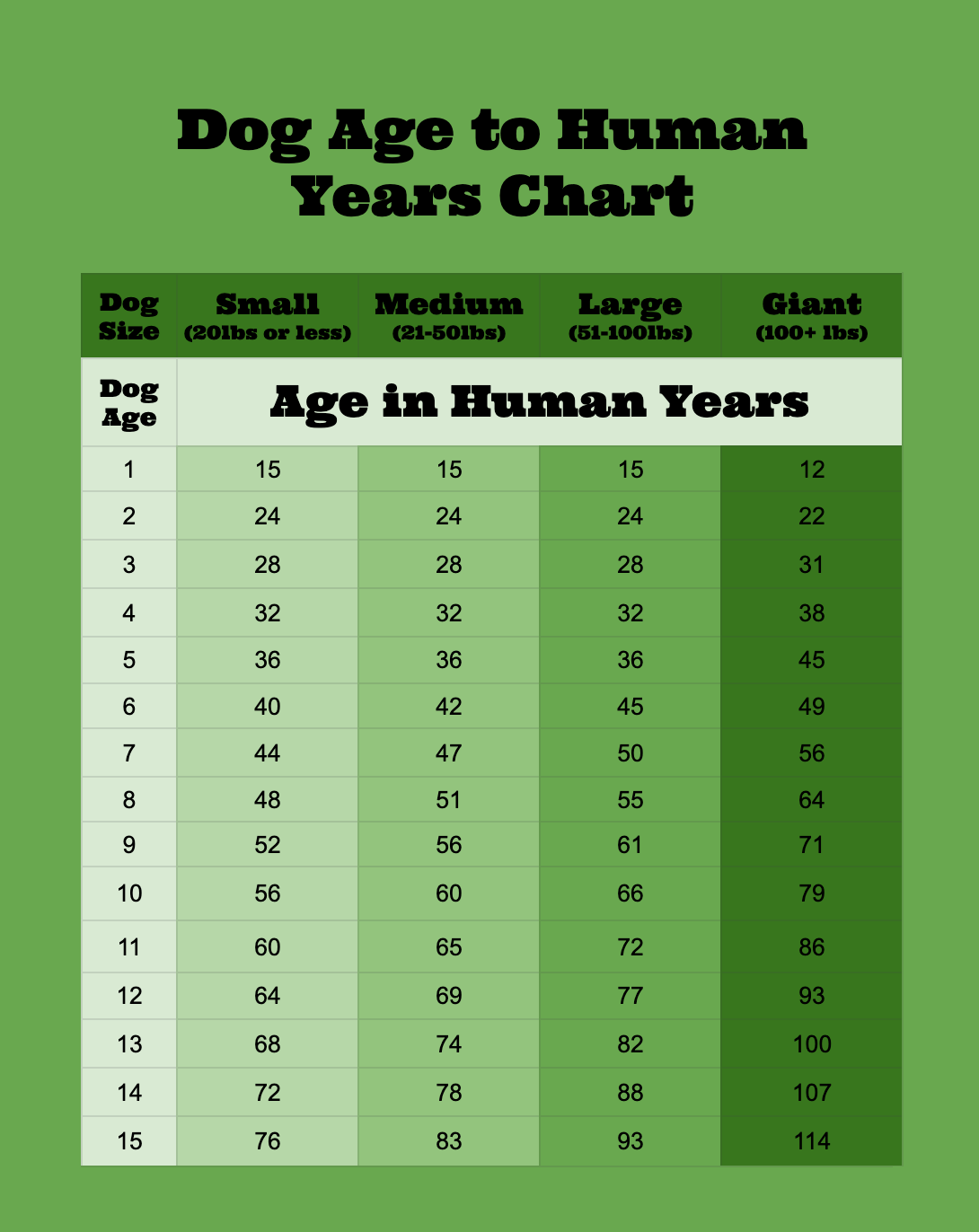 dog-age-to-human-years-chart.png