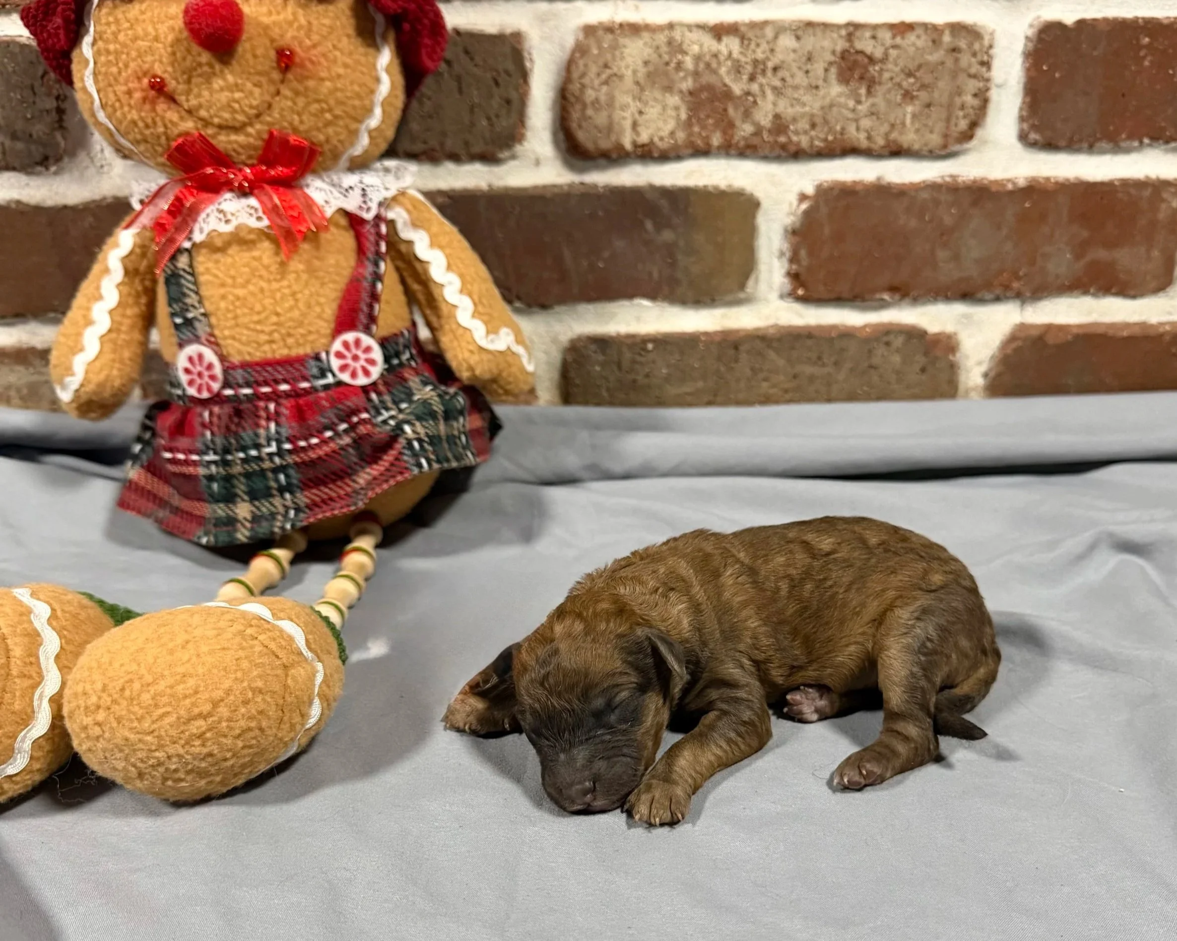 Peanut Butter (Girl)