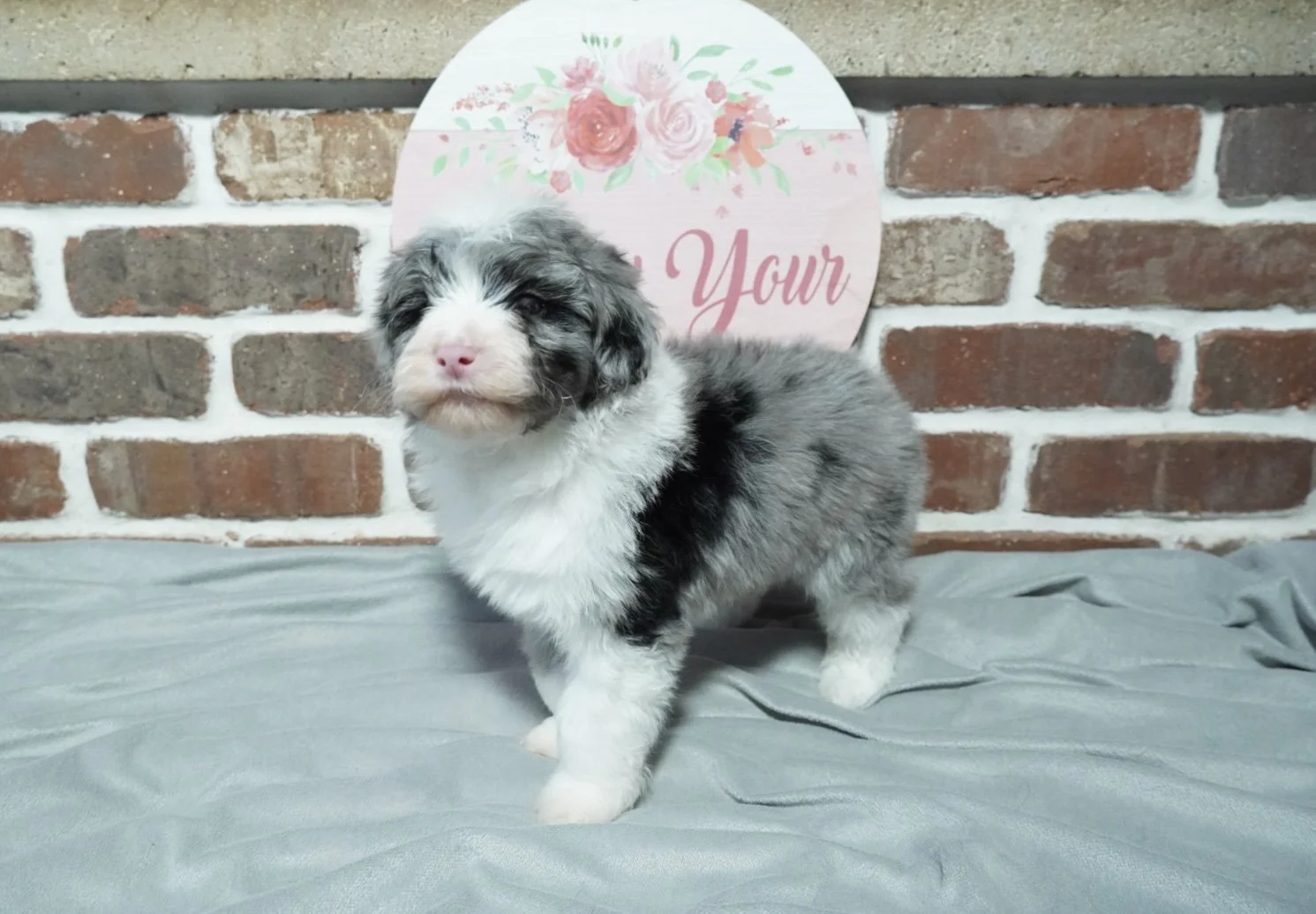 Photo Jan 12 2026, 4 54 34 AM.jpg