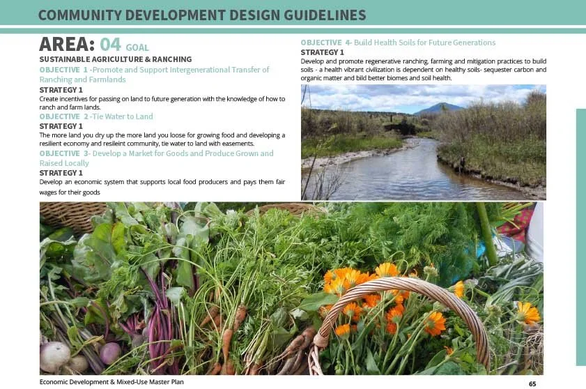 3 guidelines FINAL20230627GardnerMasterPlan-4 30.jpg