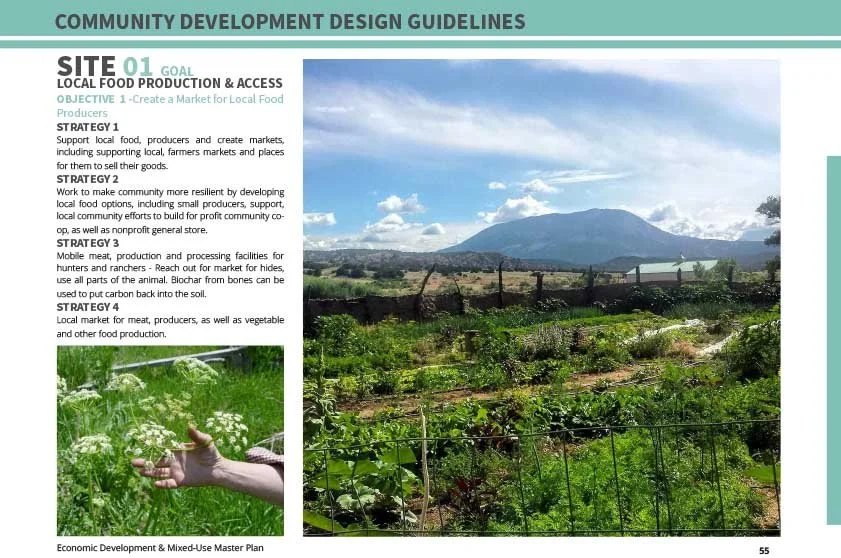 3 guidelines FINAL20230627GardnerMasterPlan-4 20.jpg
