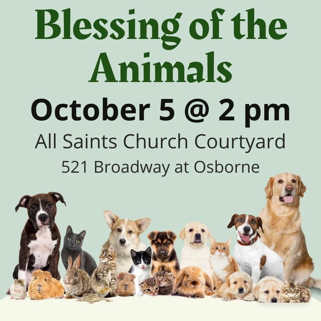 In honour of St. Francis of Assisi, renowned for his love of animals, we will be celebrating a short service for the blessing of animals at 2 pm, in the courtyard. Pets of all types are welcome: furry, feathered, scaly, or stuffed. You may also bring