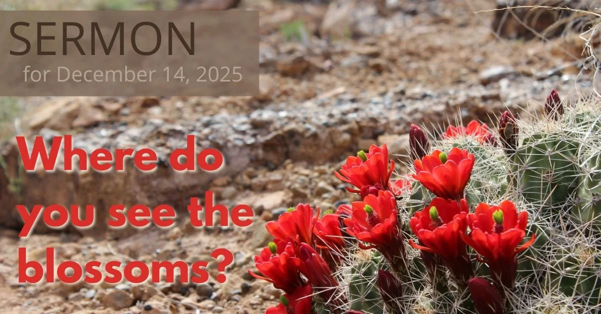 December 14, 2025, the Third Sunday of Advent – Gaudete Sunday