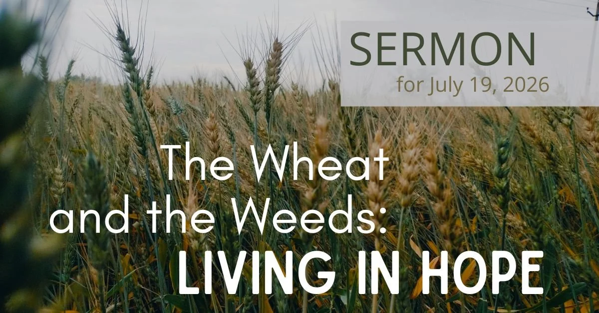July 19, 2026, The Eighth Sunday after Pentecost