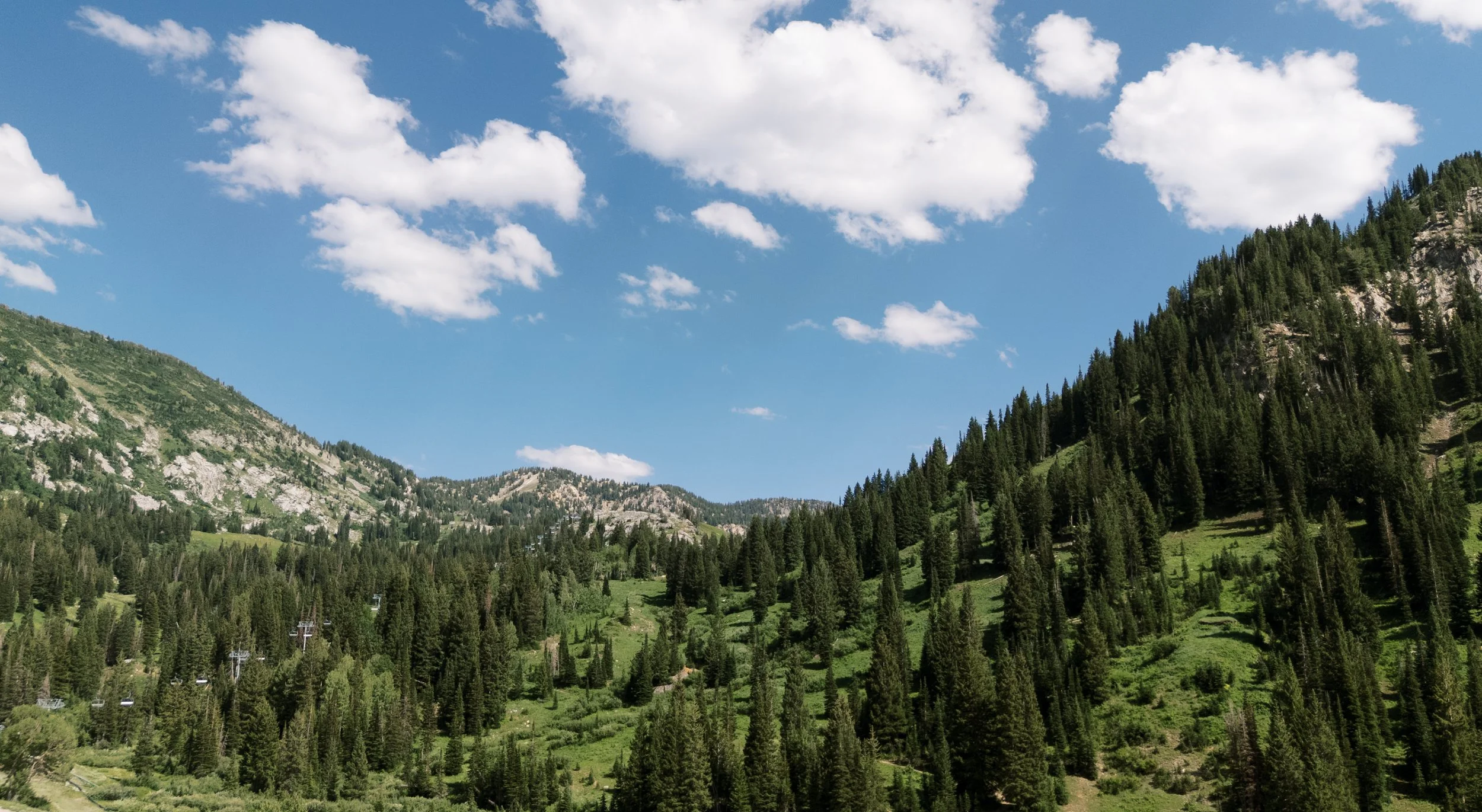 K & H Wedding - Sarah Jane Photo-209.jpg