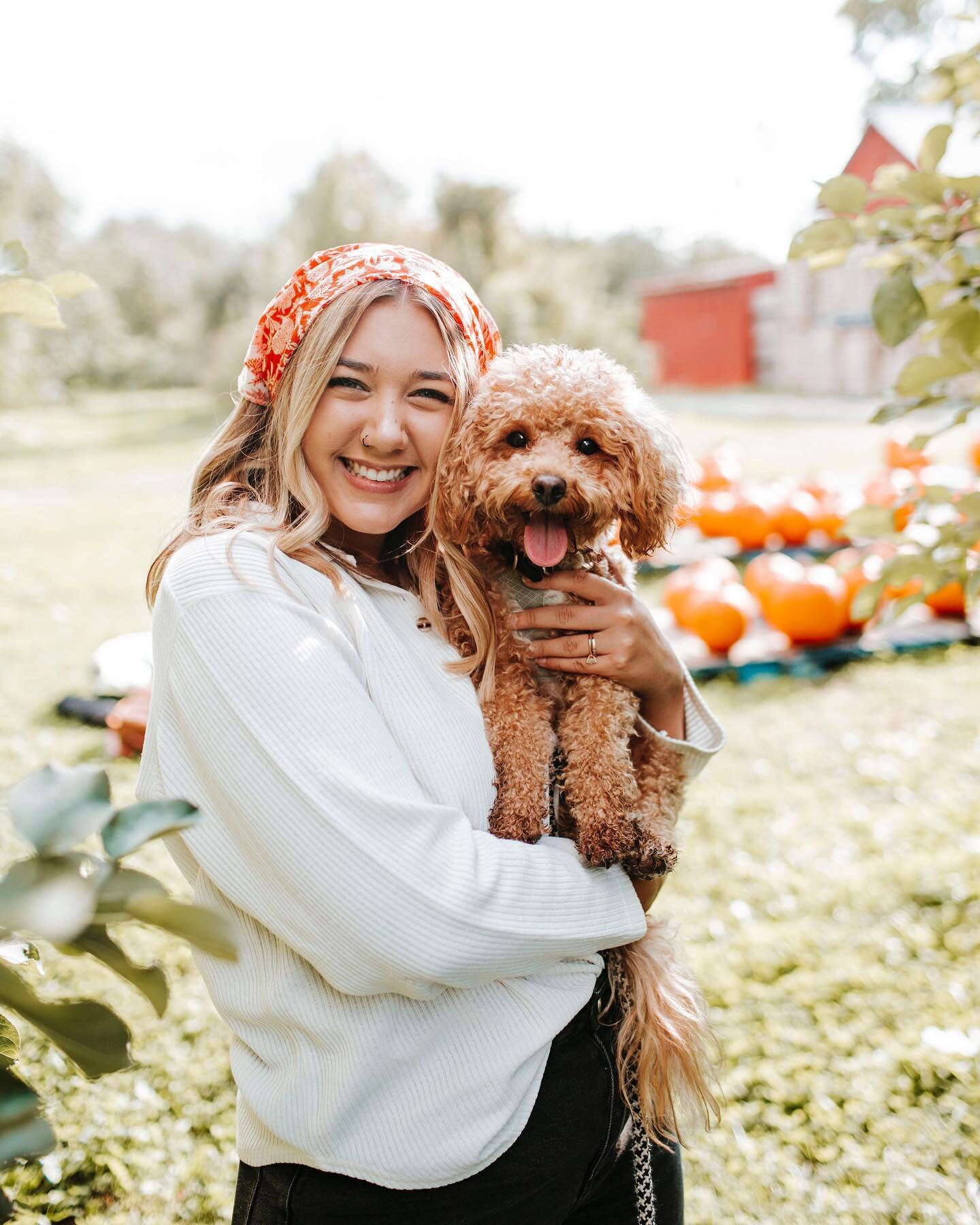 Happy Tuesday from my family to yours! 👋 

If you&rsquo;re new here, my name is Moriah &amp; this is my cute husband and puppers Samson 🐶 Fun facts about us:

🎃 I will be 23 next month
🎃 Tanner + I have been married over 3 years now, but dated in