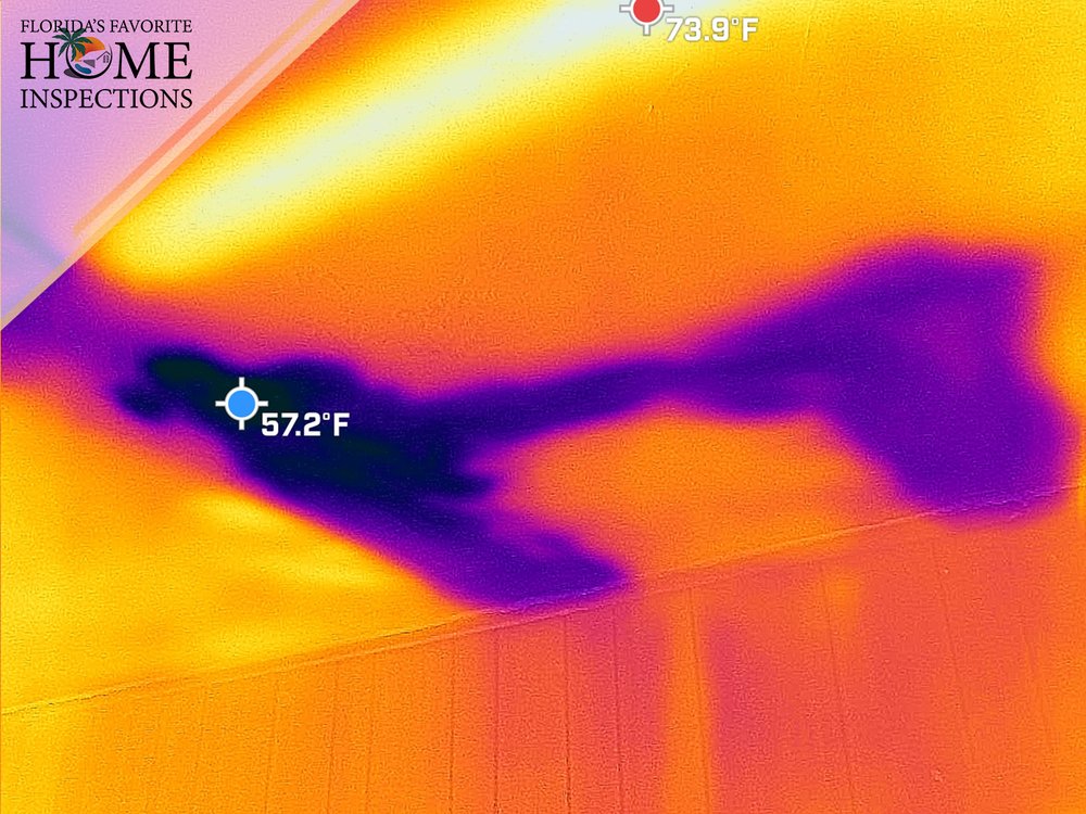 infrared-plumbing-leak.jpg