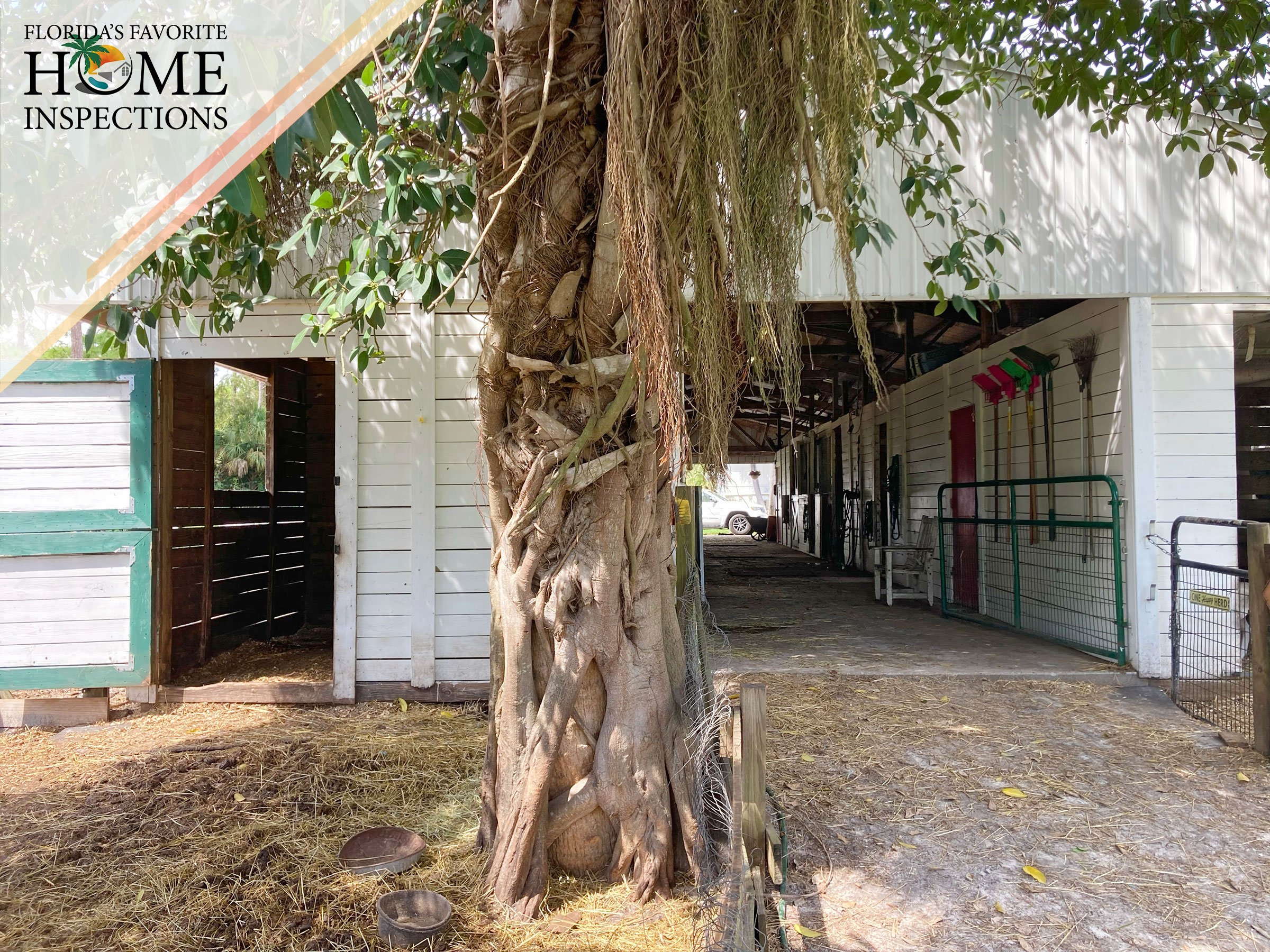 barn-inspection-loxahatchee.jpg