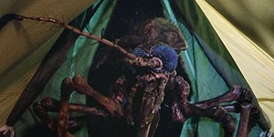 Michael Roffe Mosquitos Review: Mosquito (1995) — CONFLUENCE OF CULT