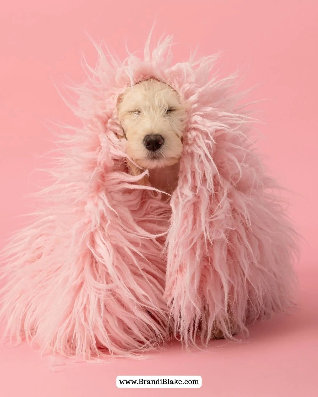 Easing into the new year the cozy way&hellip; and also realizing it&rsquo;s Friday (in case anyone else forgot!).

We&rsquo;re tucked behind the scenes today&mdash;organizing the studio, refreshing the prop room, and getting client files ready for an