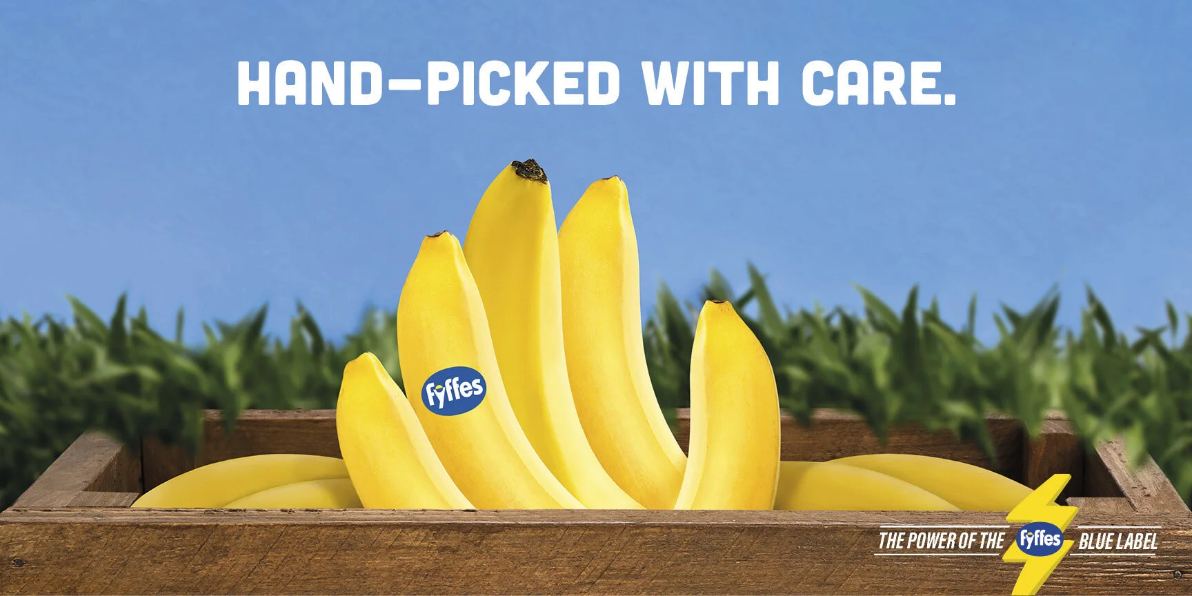 Fyffes+48+Sheet.jpeg