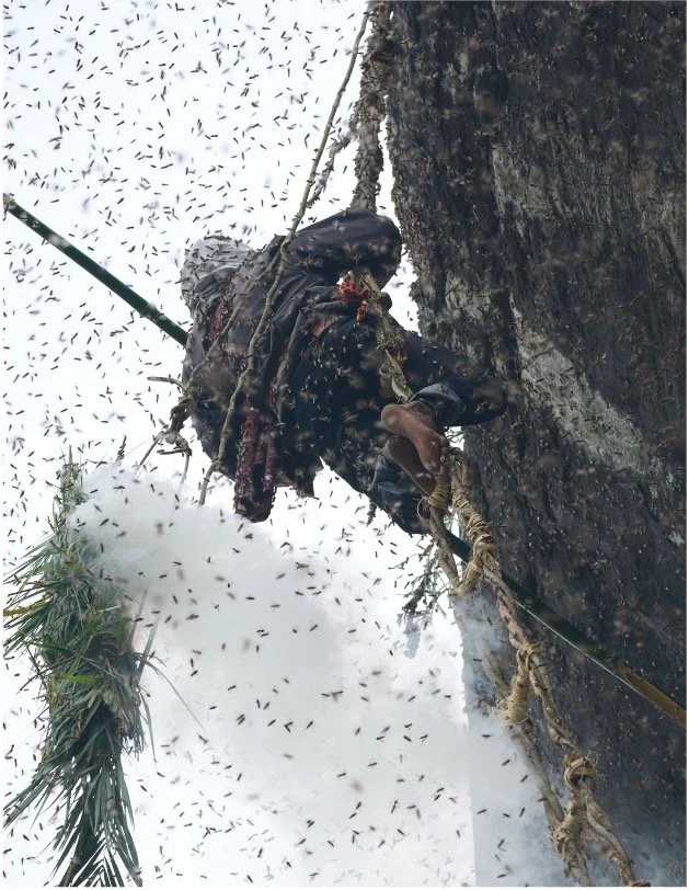 Picture 6.jpg