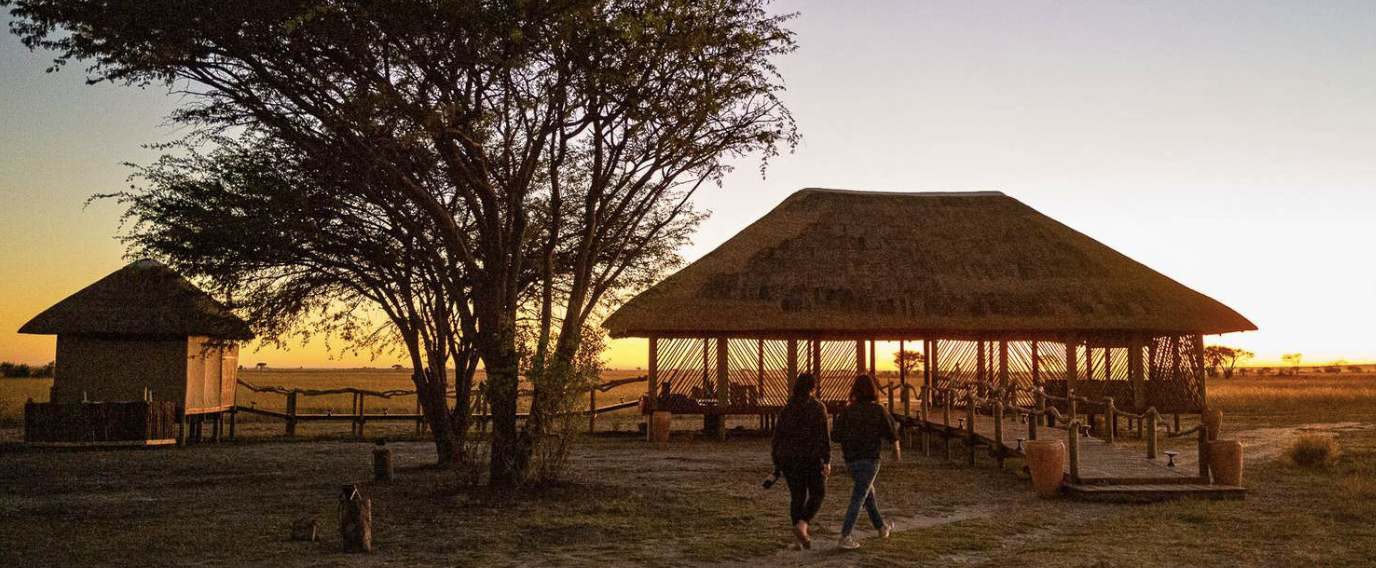 Árbol y estructura de techo de palma en un paisaje de sabana al atardecer con dos personas caminando.