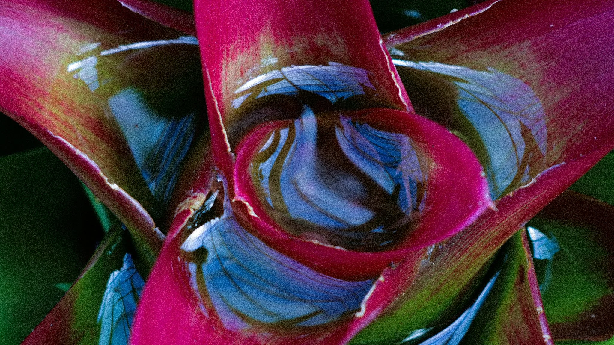 Fountain of Youth 2 || Royal Botanic Gardens, Edinburgh