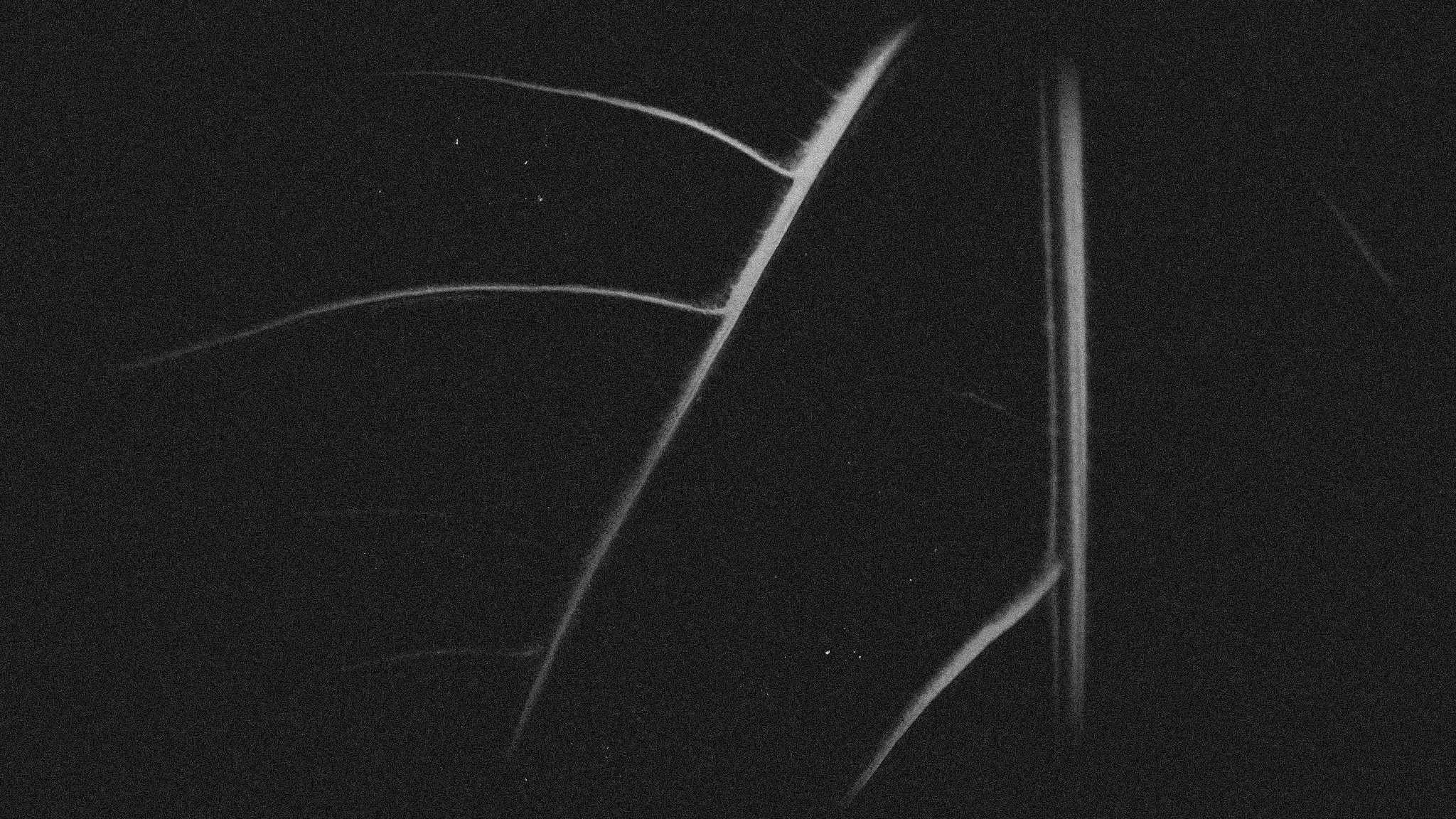 Human nature 3 || Royal Botanic Gardens, Edinburgh