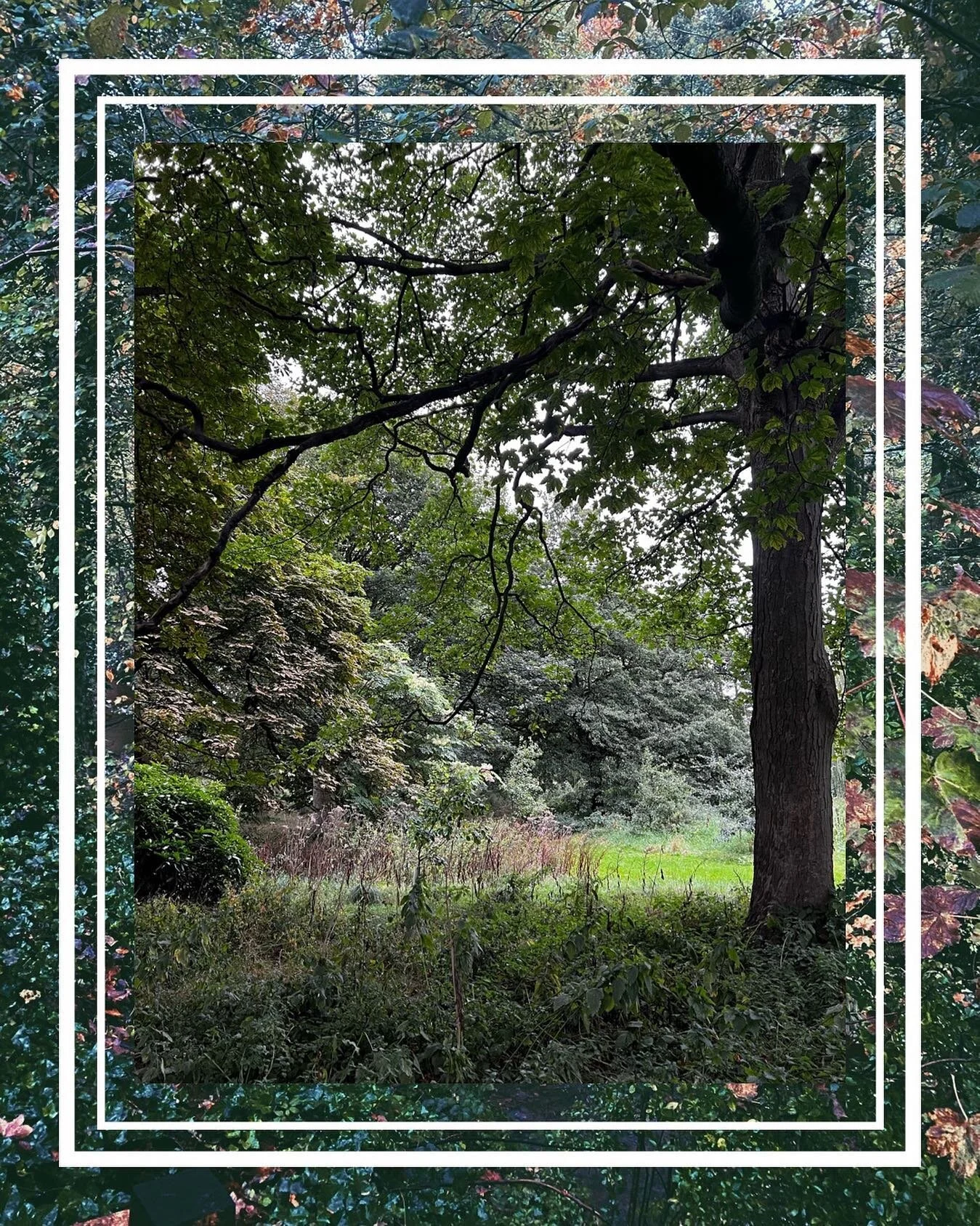 I haven&rsquo;t posted for a while&bull;| 

Changes are what make us, they say. 

As I walk these painted paths, seasons greet me with warmth and wonder, as I contemplate the months ahead.

Autumnal whispers that guide us. Falling leaves that leave u