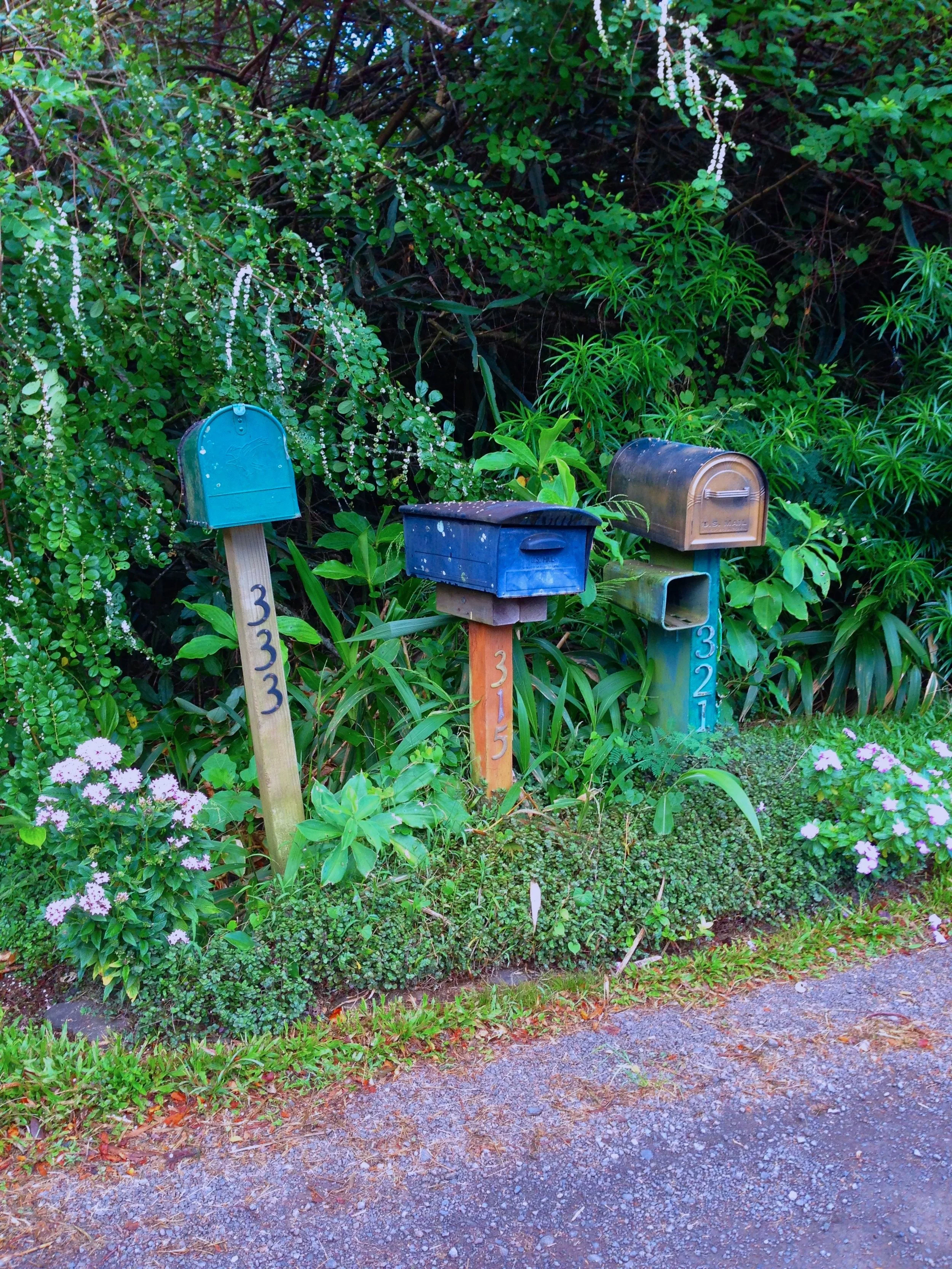 Secret Post || Hana, Maui