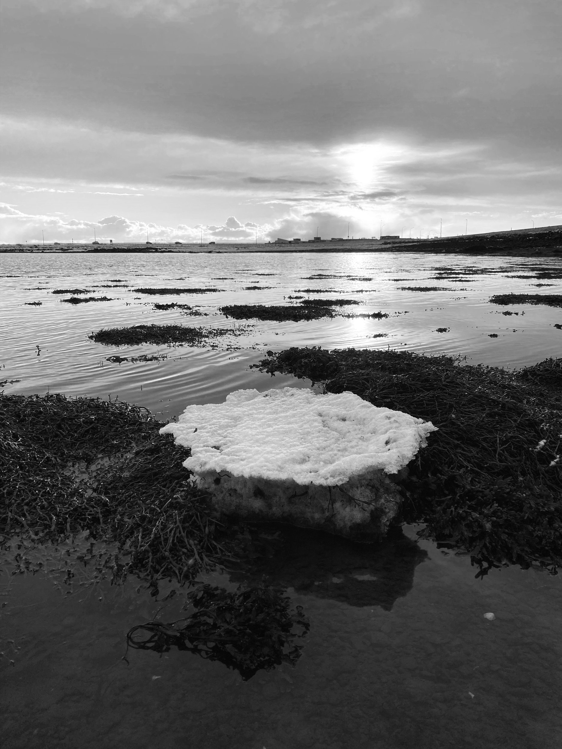 Peace suspension || Alftanes, Iceland