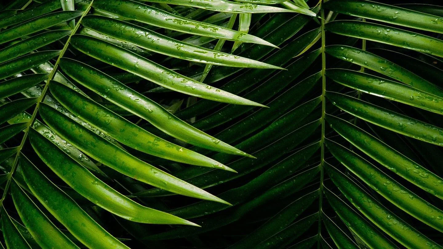 Final touches ahead of the main event &bull; 

📷 Olympus em10