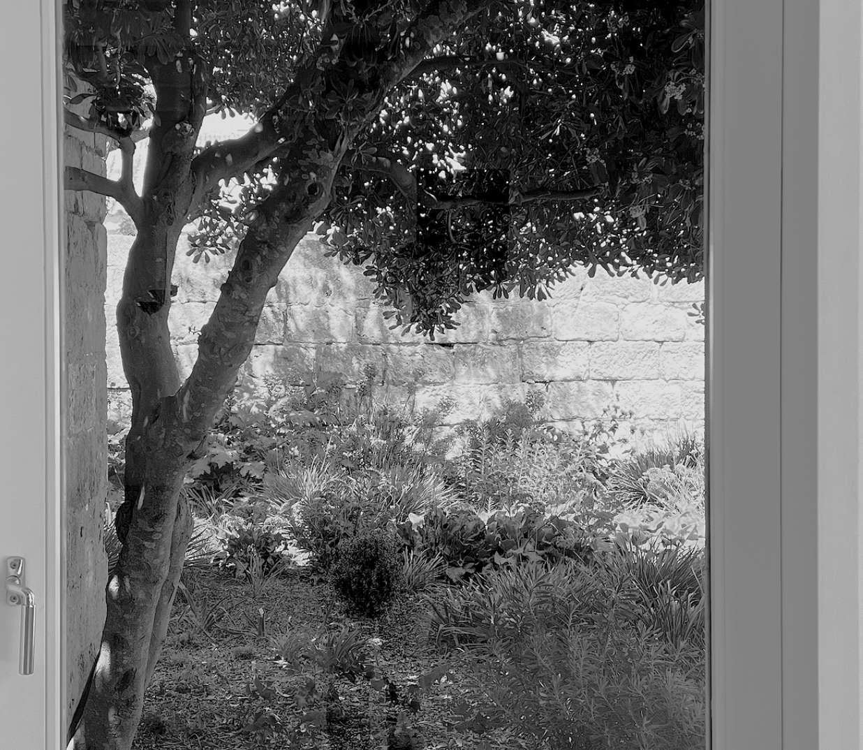 Looking from inside, out.