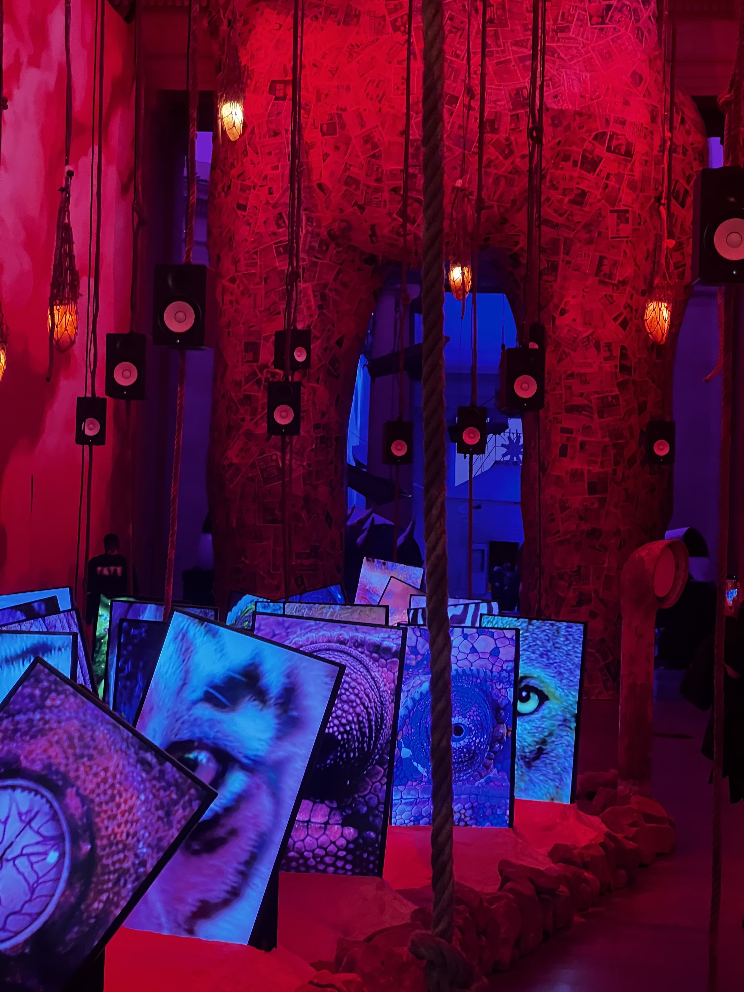 Tate Britain Eco Photography