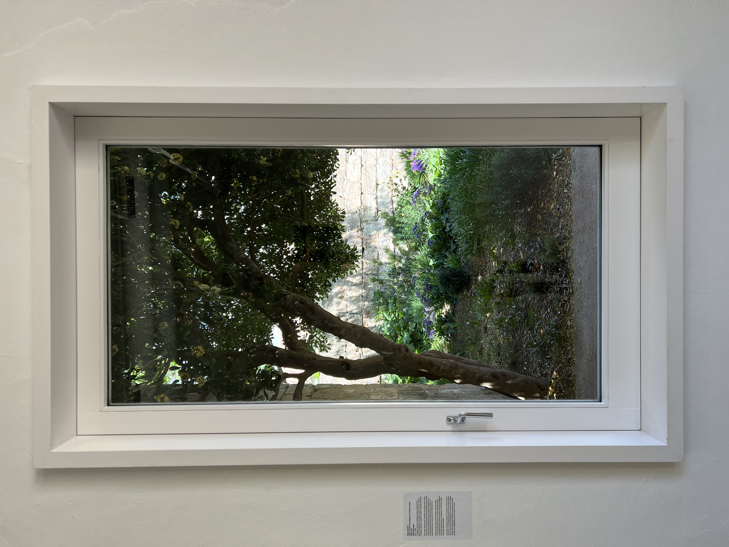 Art Garden || Hauser & Wirth Menorca, Illa del Rei