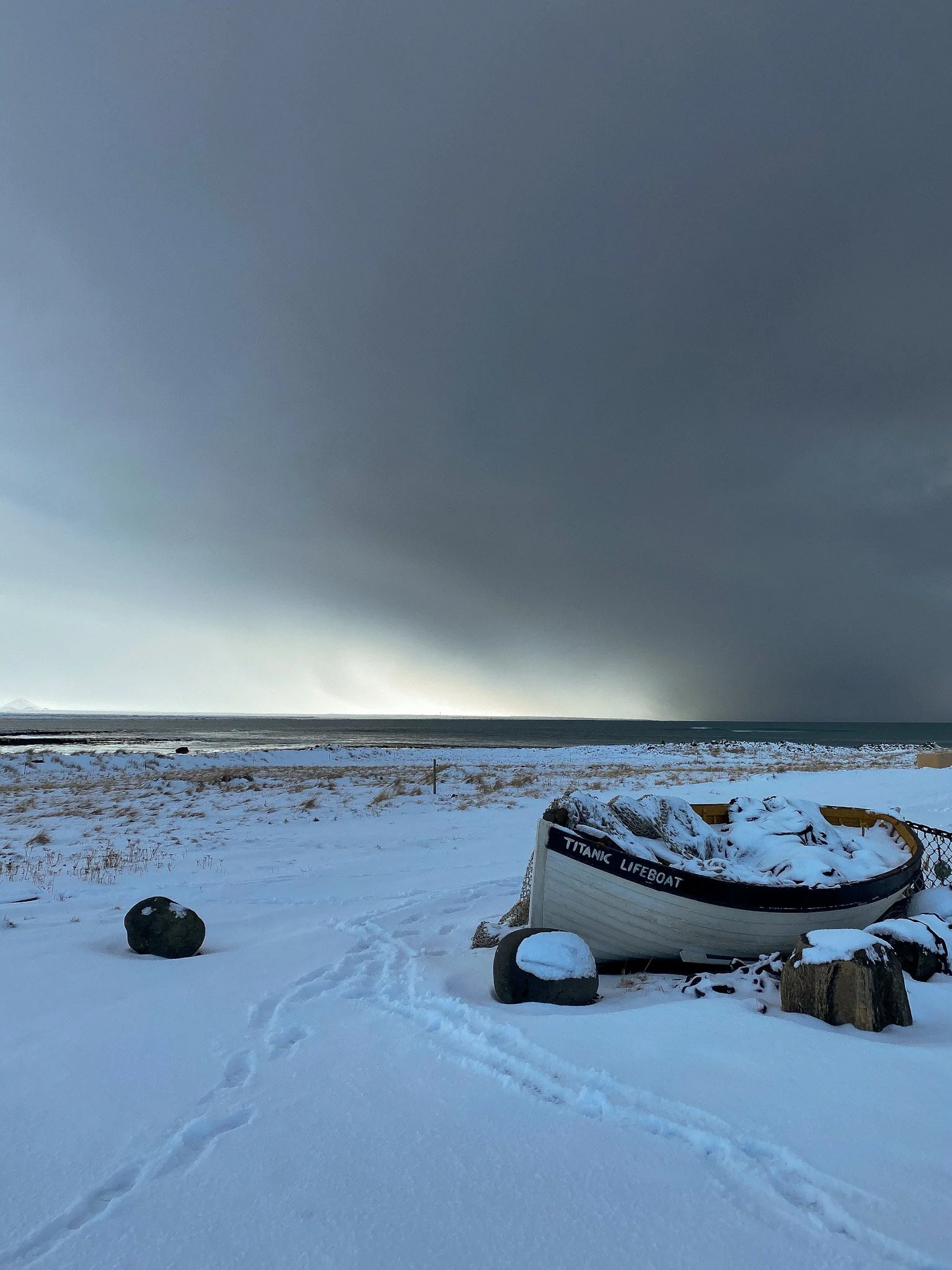 Recently stranded || Alftanes Coast, Iceland