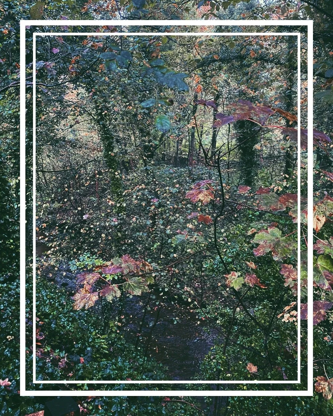 Autumnal Hymn 2 || Headingley, Leeds