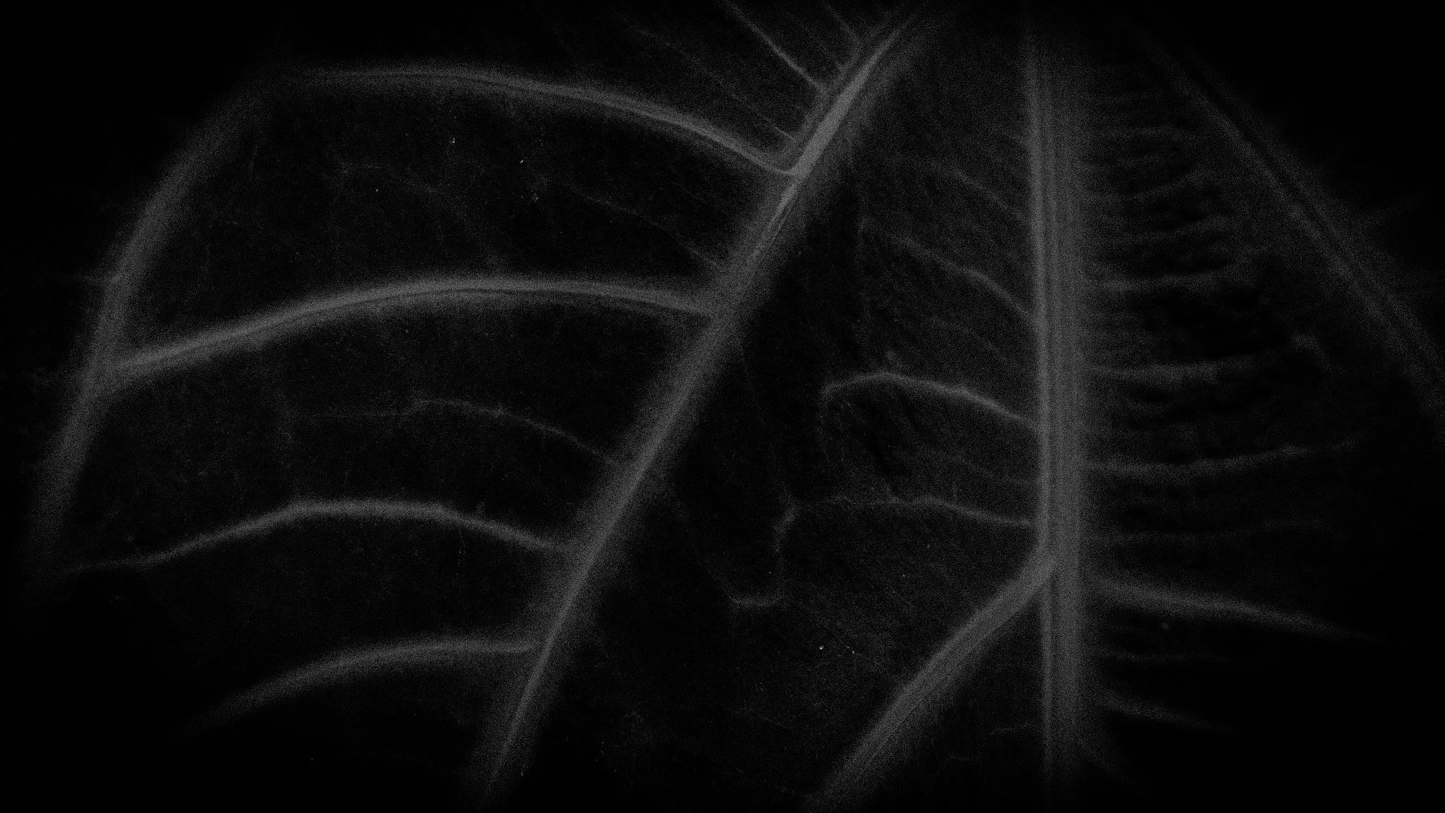 Human nature 1 || Royal Botanic Gardens, Edinburgh