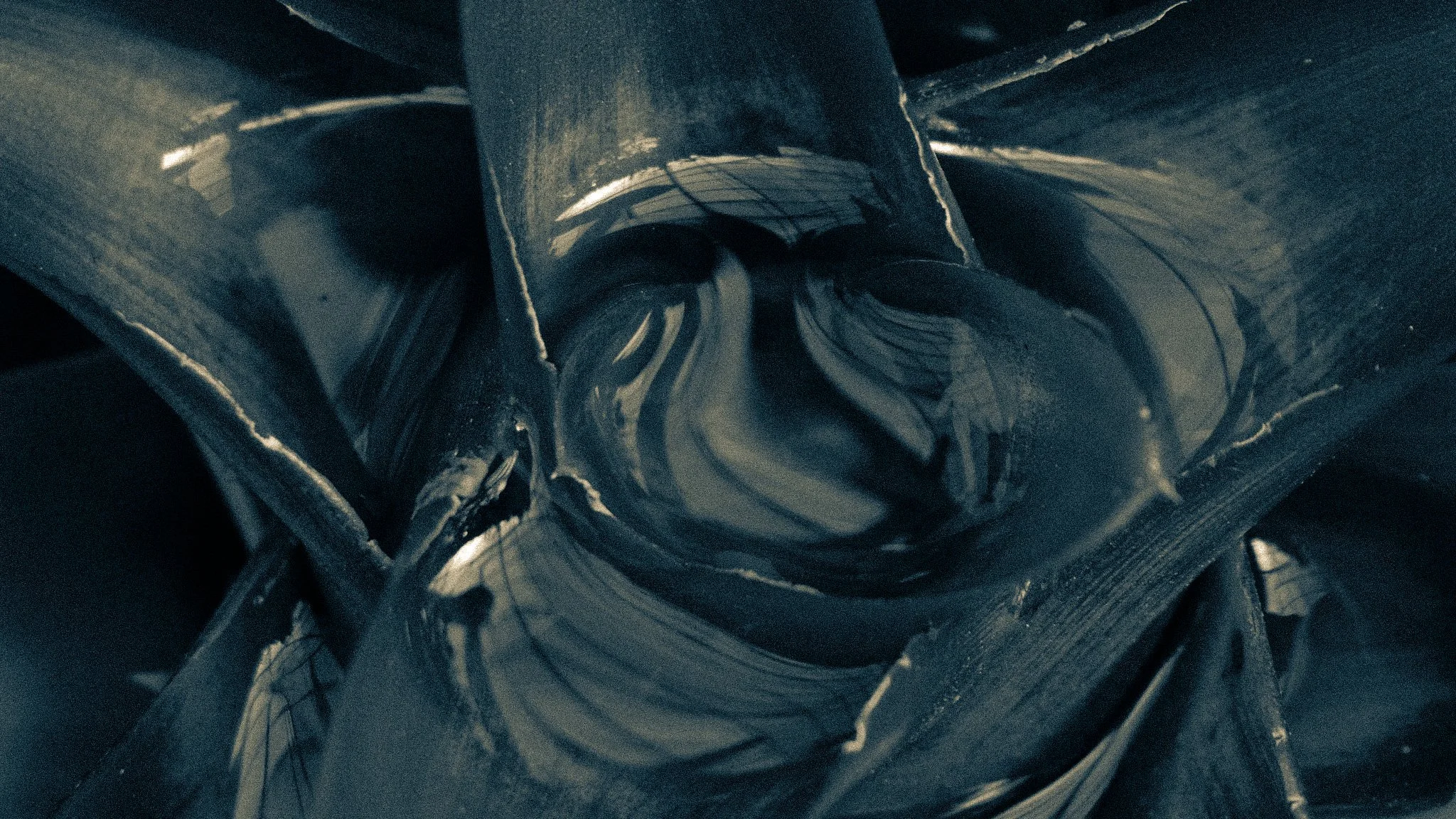 Fountain of Youth 1 || Royal Botanic Gardens, Edinburgh