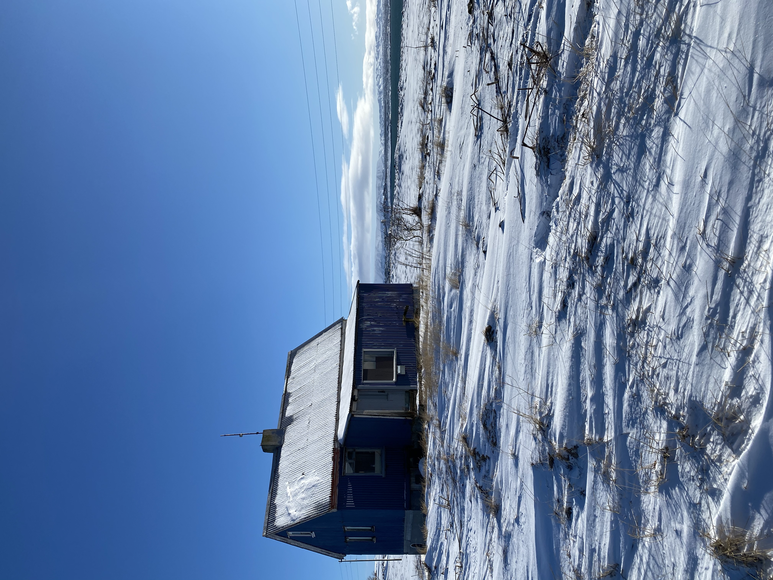 She Stands || Alftanes, Iceland