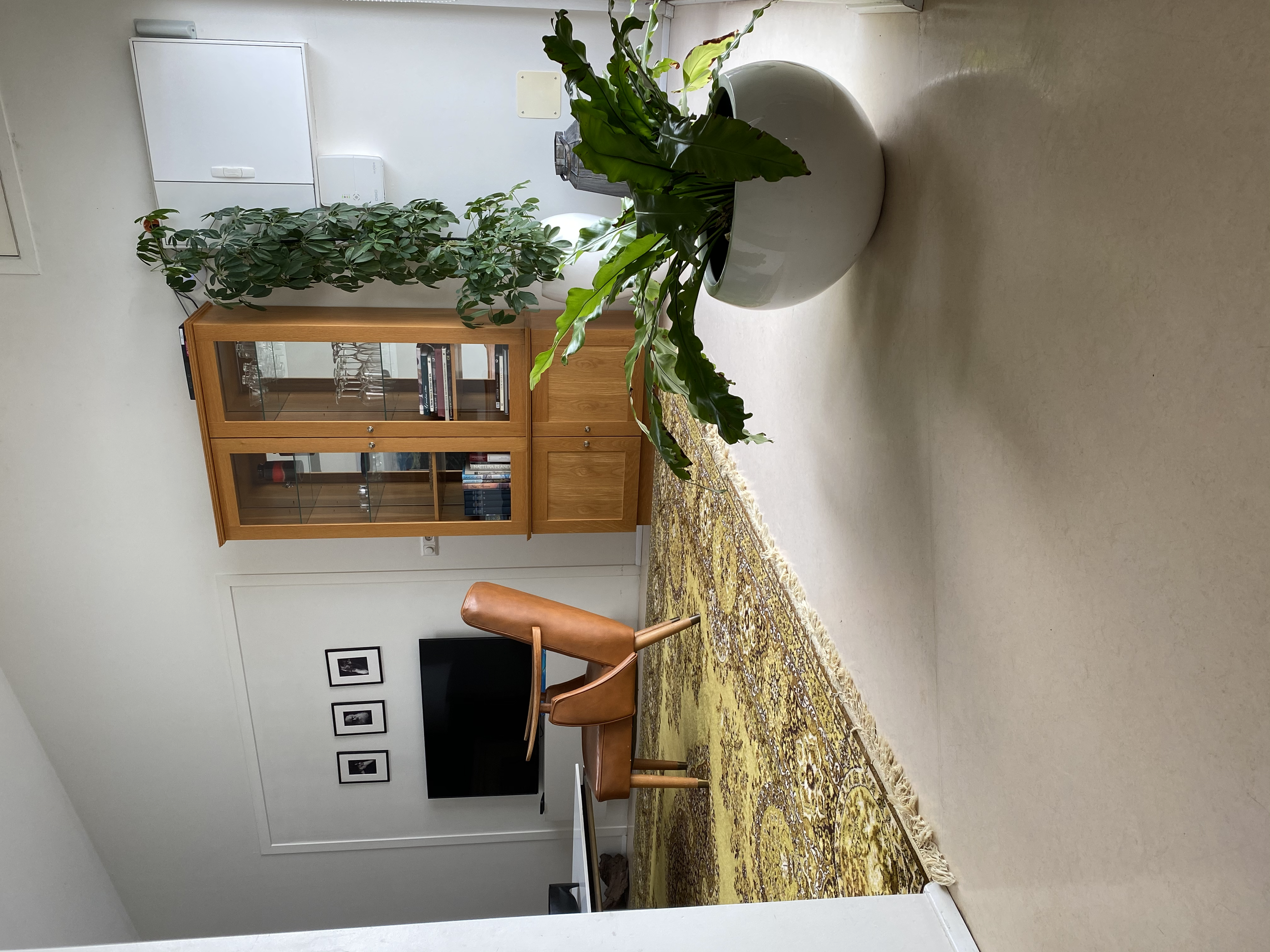 Would-be Home || Alftanes, Iceland