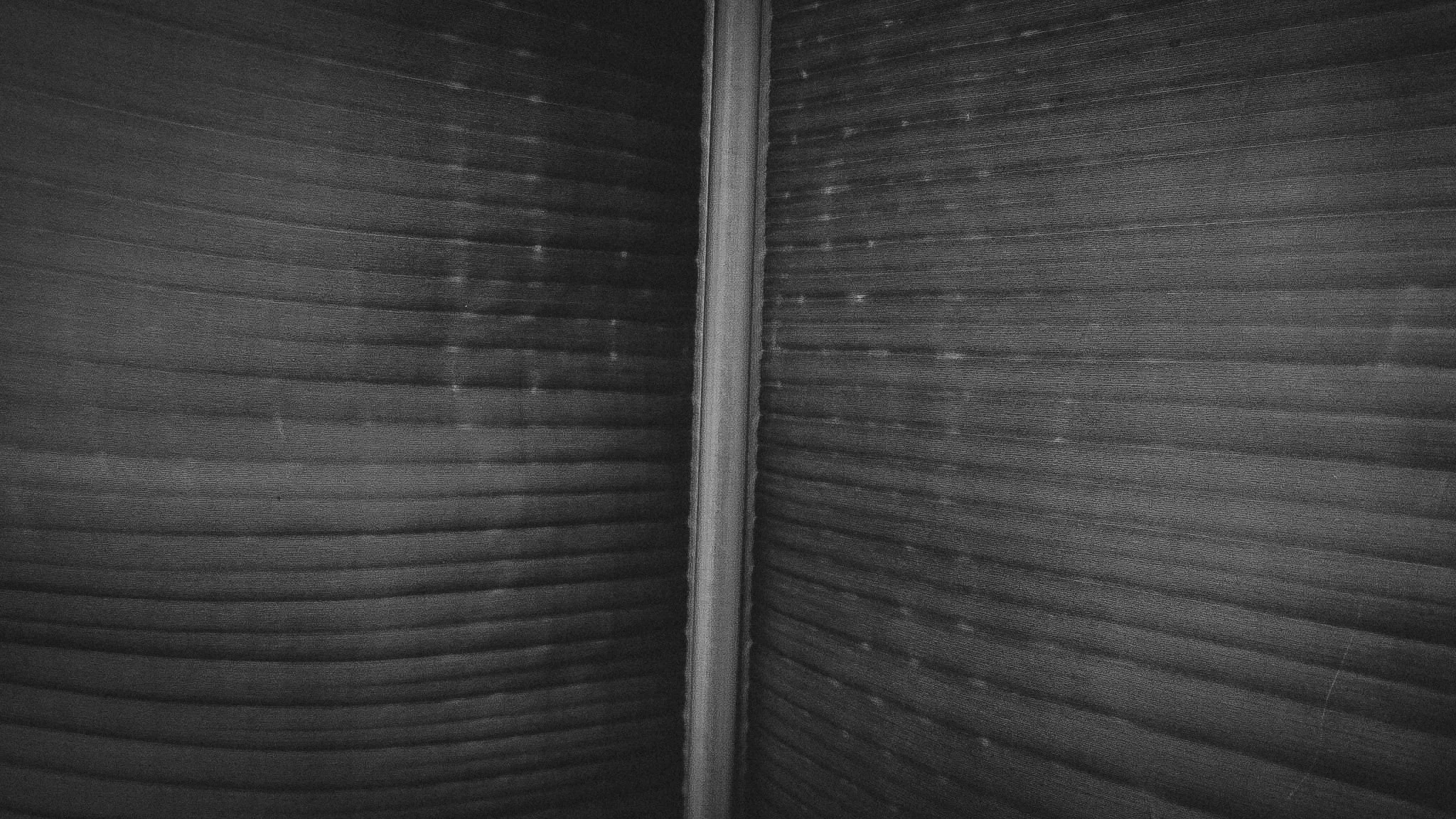 Orchestral lines 2 || Royal Botanic Gardens, Edinburgh