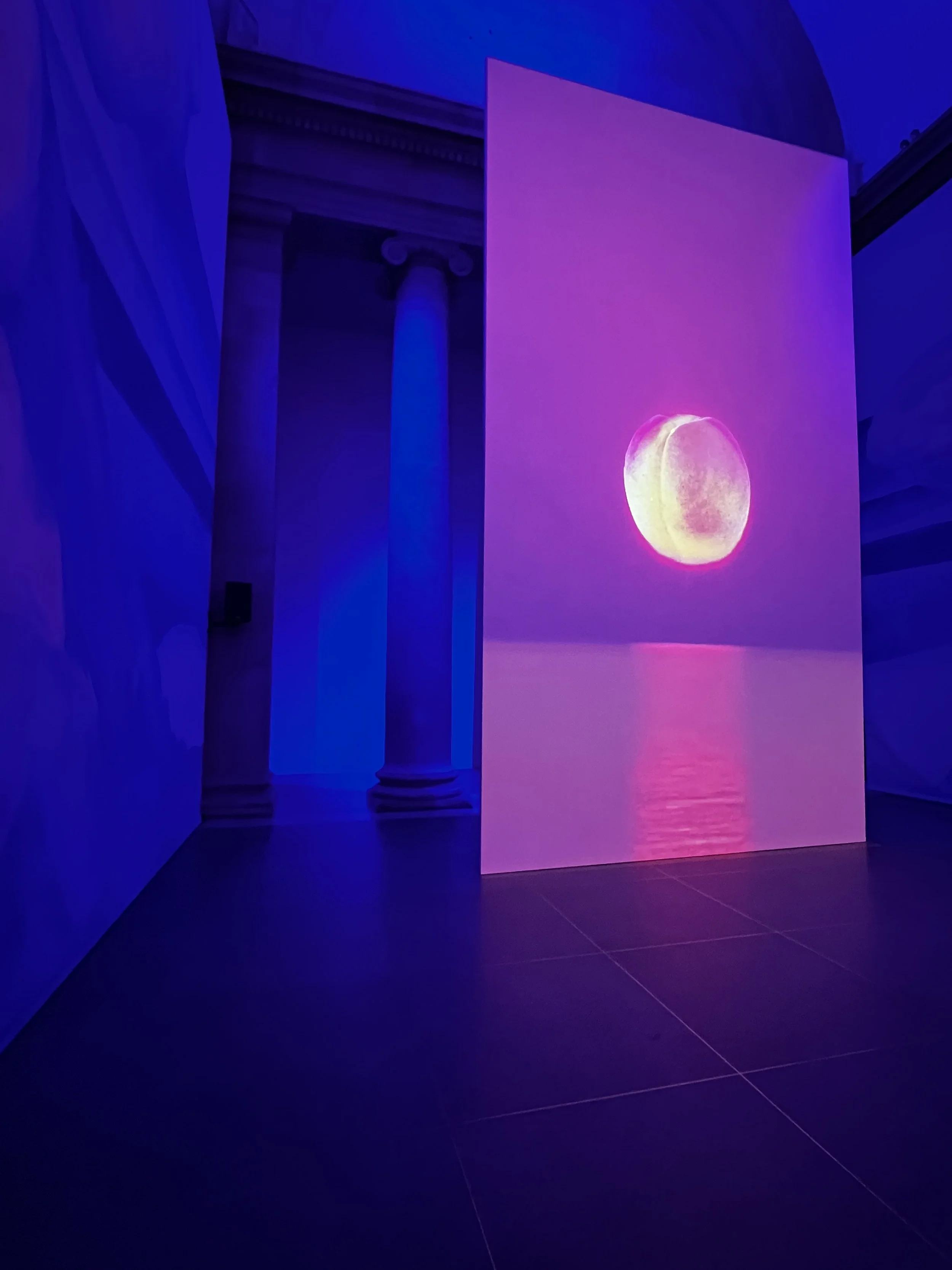 Heather Phillipson Tate